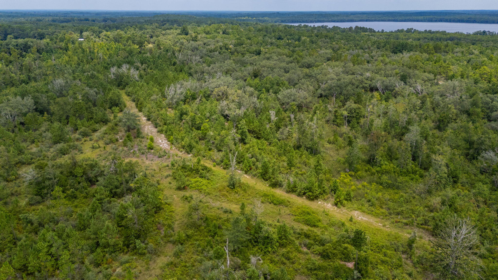 Looking for the perfect family dream location just North of Panama City?  This 100+/- acres is a dream location that offers you privacy, woods, a creek, hunting, amazing views to build your dream home all with the convince to the Beach and work! Surrounded by large oaks and natural Florida vegetation this property gives you a sense of country living with all the options of coastal living included. Property allows for farming, livestock, and mobile homes are allowed. Maybe you are just needing a weekend getaway - this is the dream hunting land and family compound to relax. Call today to view the creek, stream, wildlife and abundance of such a large tract of land less than 60 minutes from the Gulf!