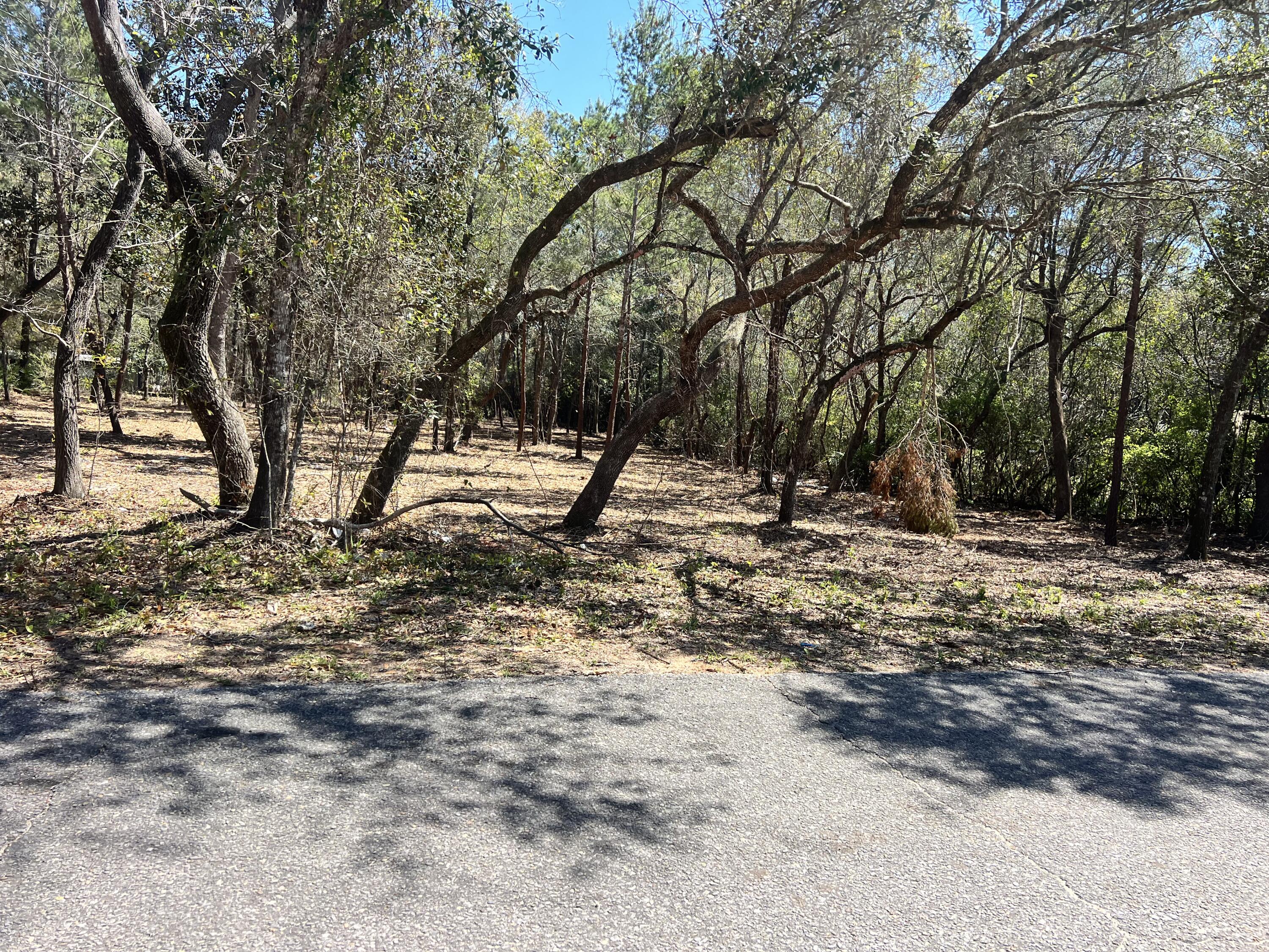 Seller offering seller financing with 25% down and an acceptable offer. Discover the perfect place to build your dream home on this beautiful 1.2 acre vacant lot located near public utilities and convenient access points. This spacious property offers the ideal blend of open, buildable land and natural Florida beauty, with approximately 0.35 acres of serene wetlands adding privacy and a peaceful backdrop.
The majority of the lot is high and dry, giving you plenty of room to design your custom home, add outdoor living spaces, or create the layout you've always envisioned. With utilities nearby, this property is ready for your builder and your plans.
Whether you're looking for a future homesite, an investment, or a private getaway, this lot offers endless possibilities.
Key Features:
 " Total lot size: 1.2 acres
" Approximately 0.35 acres of natural wetlands
" Public utilities nearby
" Ready-to-build homesite
" Peaceful setting with natural surroundings
" Ideal for a custom single-family home
Build the home you've always wanted--spacious, private, and surrounded by nature.
There is a boat ramp close by for easy access to the East Bay.
