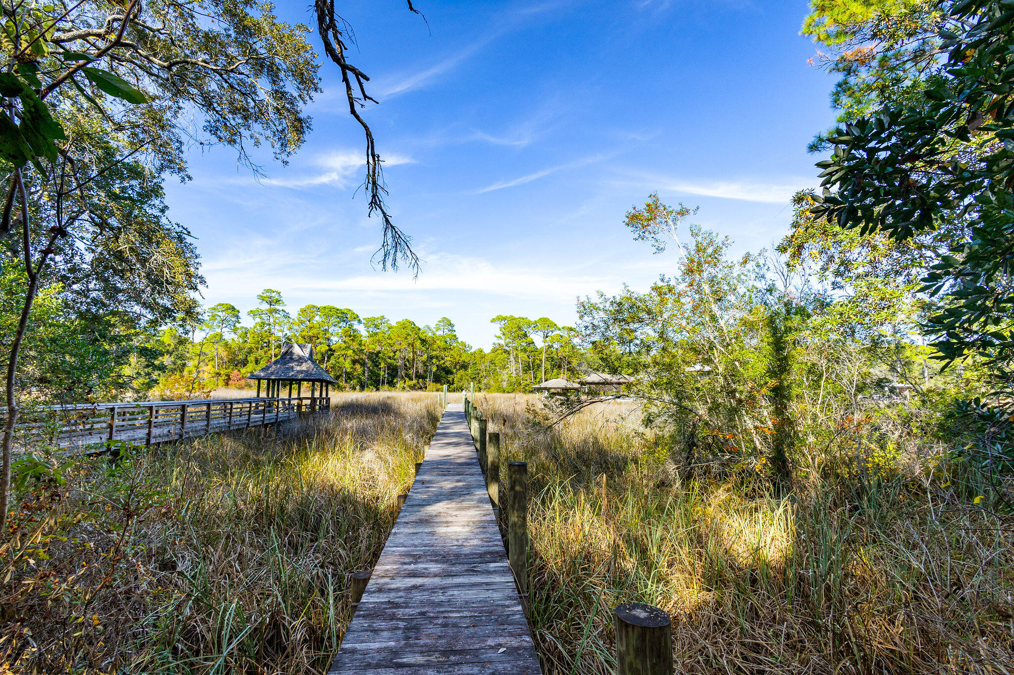 INLET BEACH - Residential
