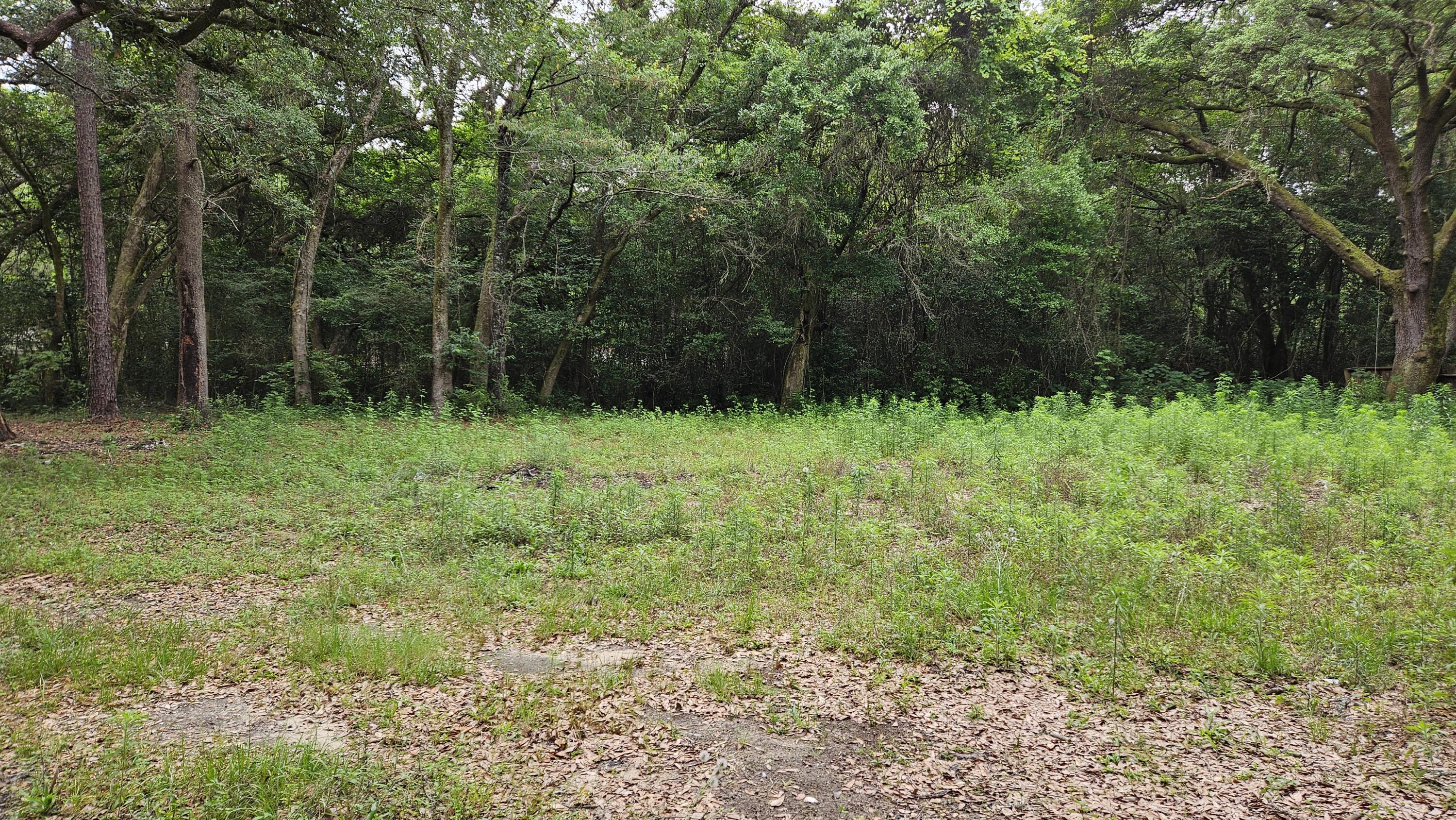 NO RECORDED SUBDIVISION - Land