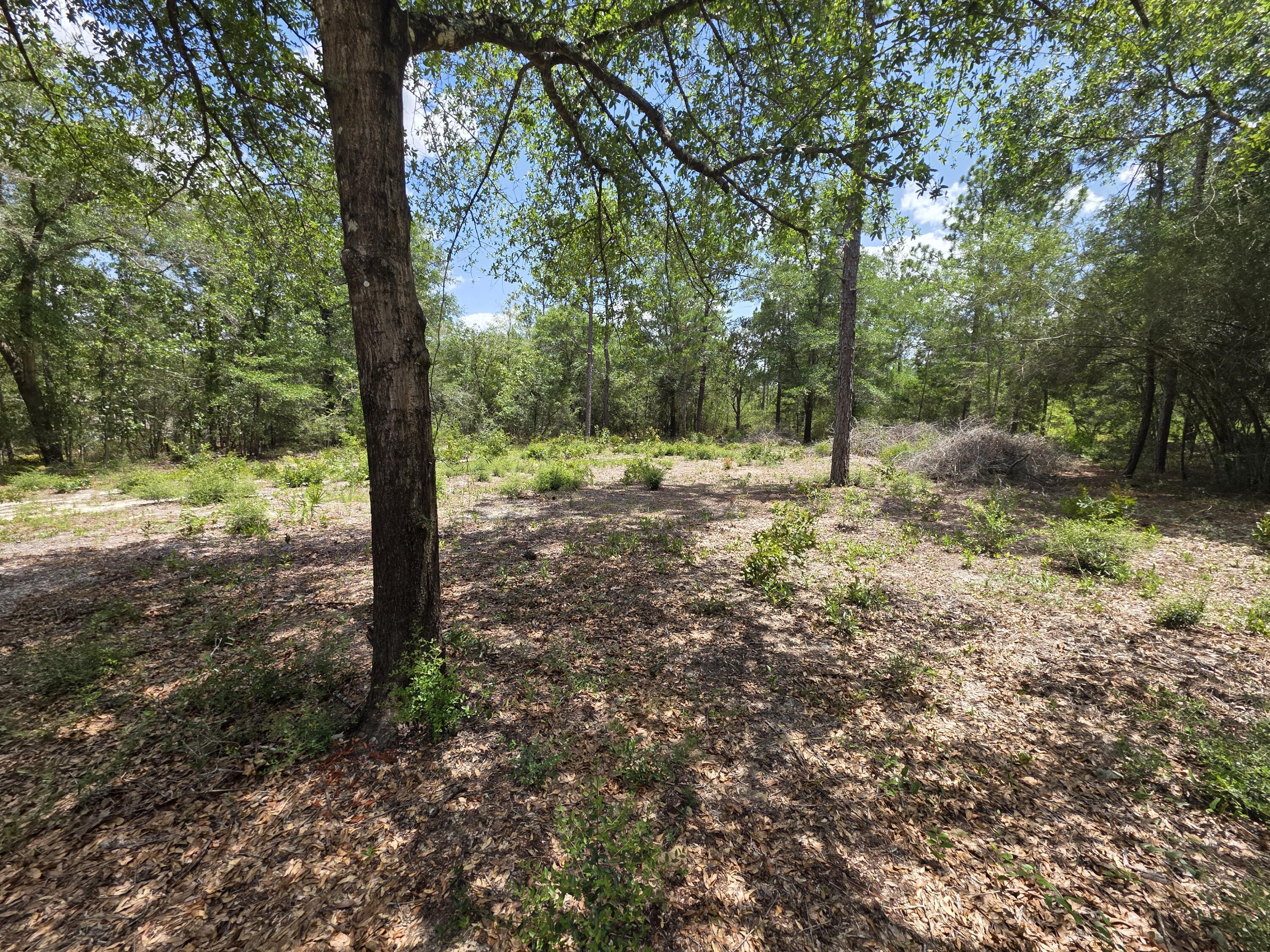 OAKWOOD HILLS UNIT 1 - Land