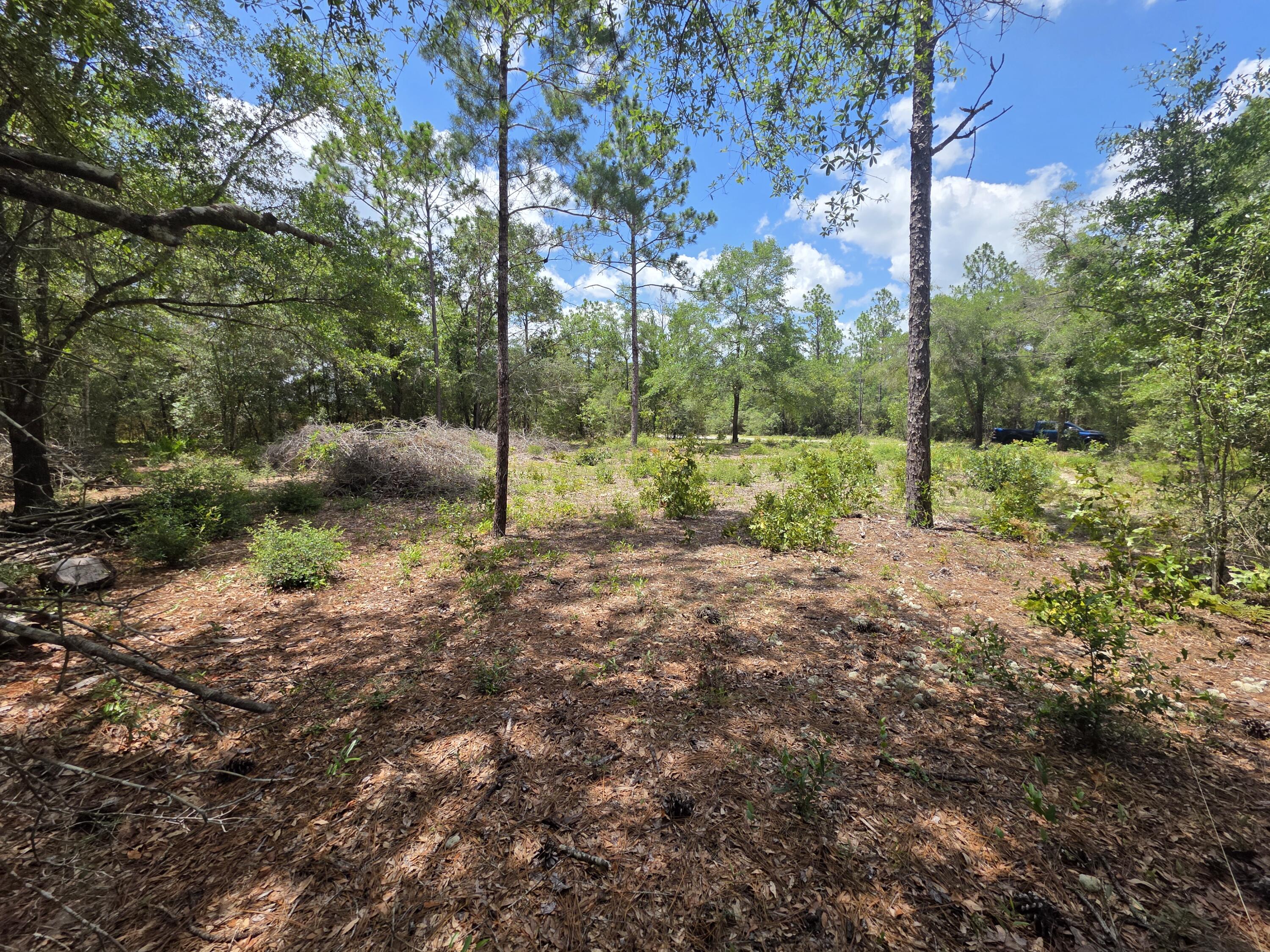 OAKWOOD HILLS UNIT 1 - Land