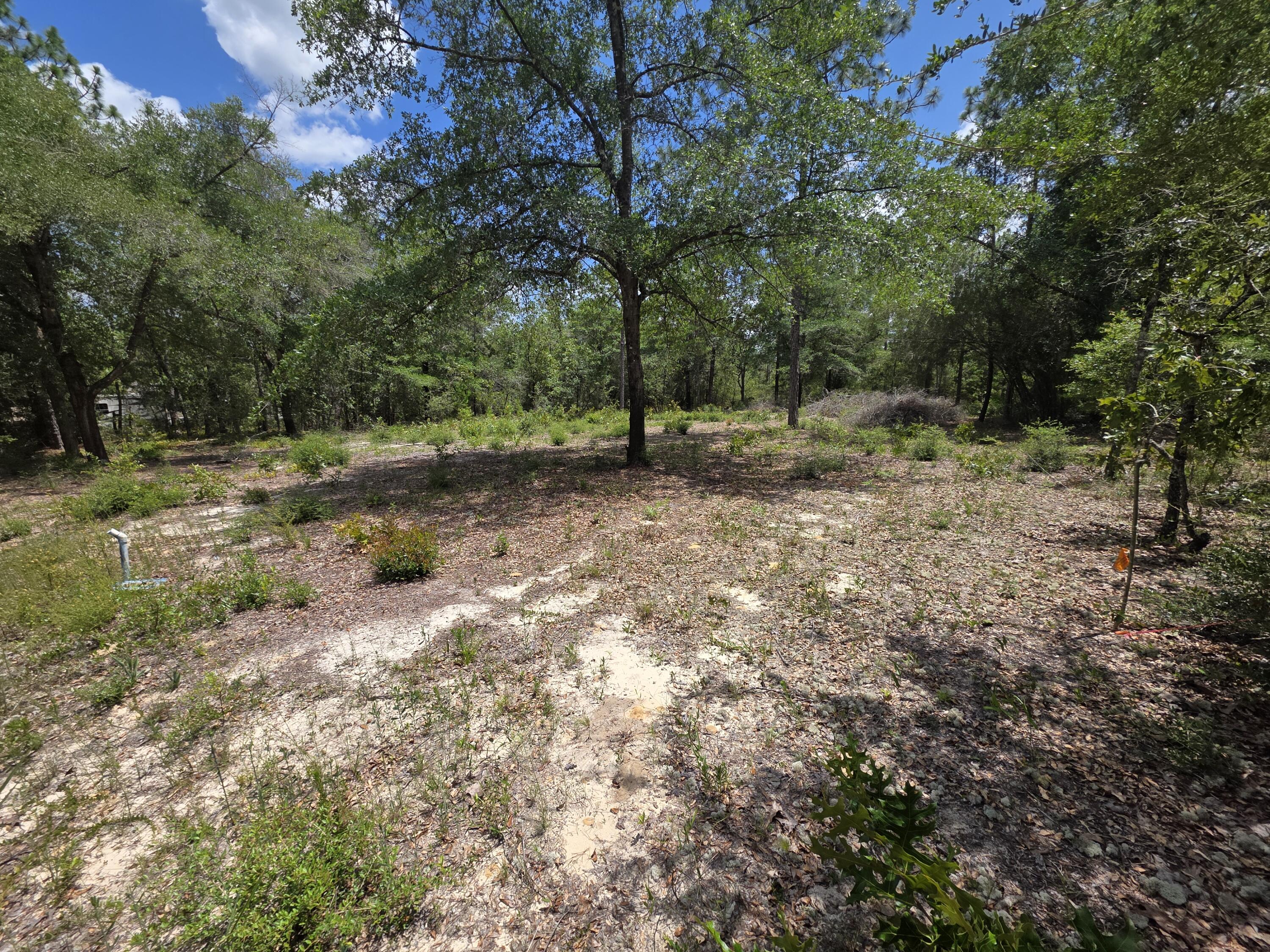 OAKWOOD HILLS UNIT 1 - Land