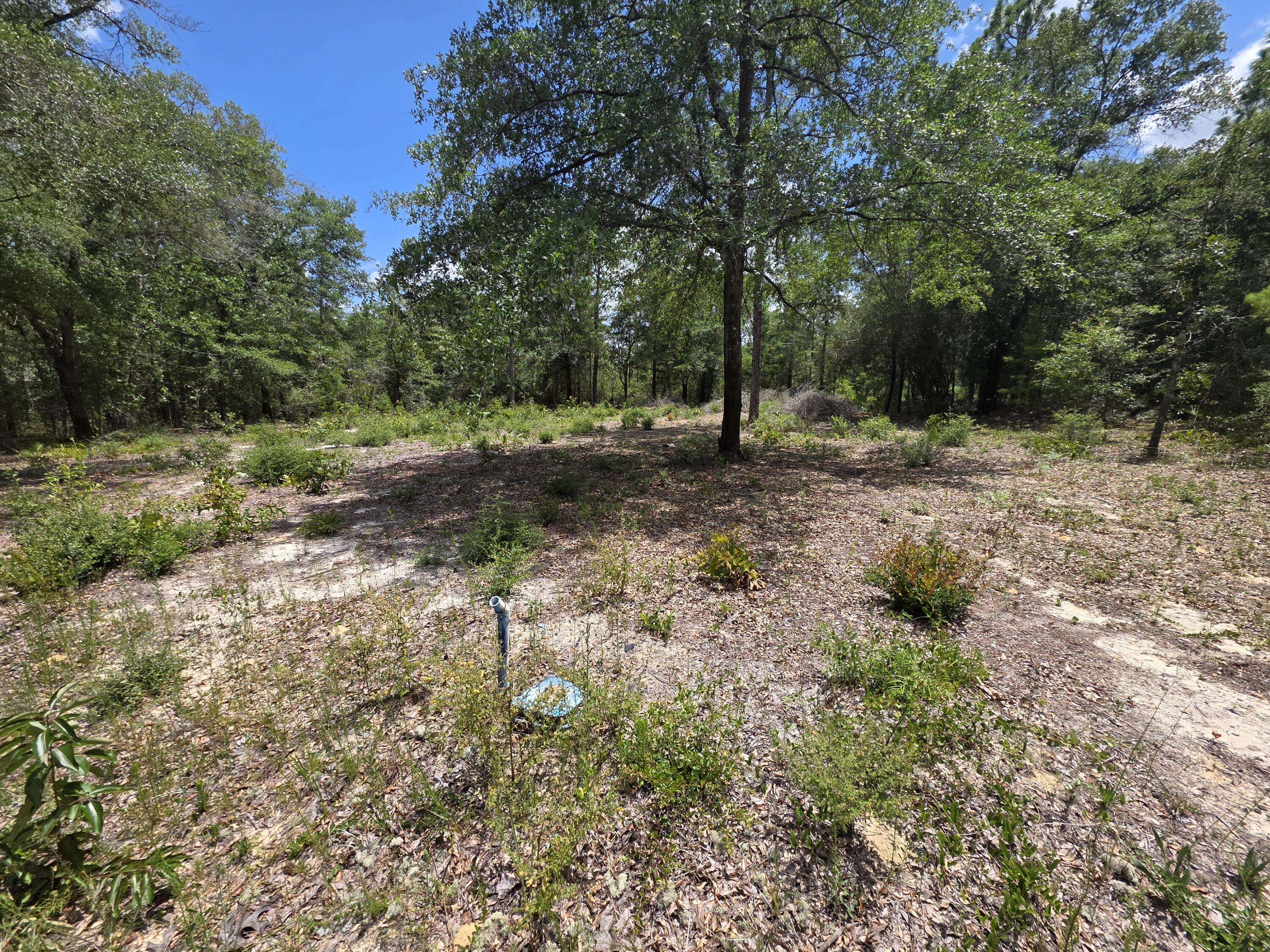 Ready to build and full of potential! This cleared homesite is ready for your dream home with a water tap already in place, saving you both time and upfront costs. Situated on a paved road in the DeFuniak Springs/Mossy Head area, this property offers the perfect balance of peaceful country living and convenient access to everything the Emerald Coast has to offer.
Located just 15 minutes from historic downtown DeFuniak Springs, approximately 45 minutes from Destin, and within an easy commute to Eglin Air Force Base, Duke Field, and Hurlburt Field, this location is ideal for homeowners, military personnel, or investors alike. Spend your weekends enjoying the Emerald Coast's world-famous white sandy beaches, boating, fishing, shopping, and dining, all while coming home to the tranquility of North Walton County.
Whether you're ready to build now or invest for the future, this property is a fantastic opportunity to make your vision a reality.