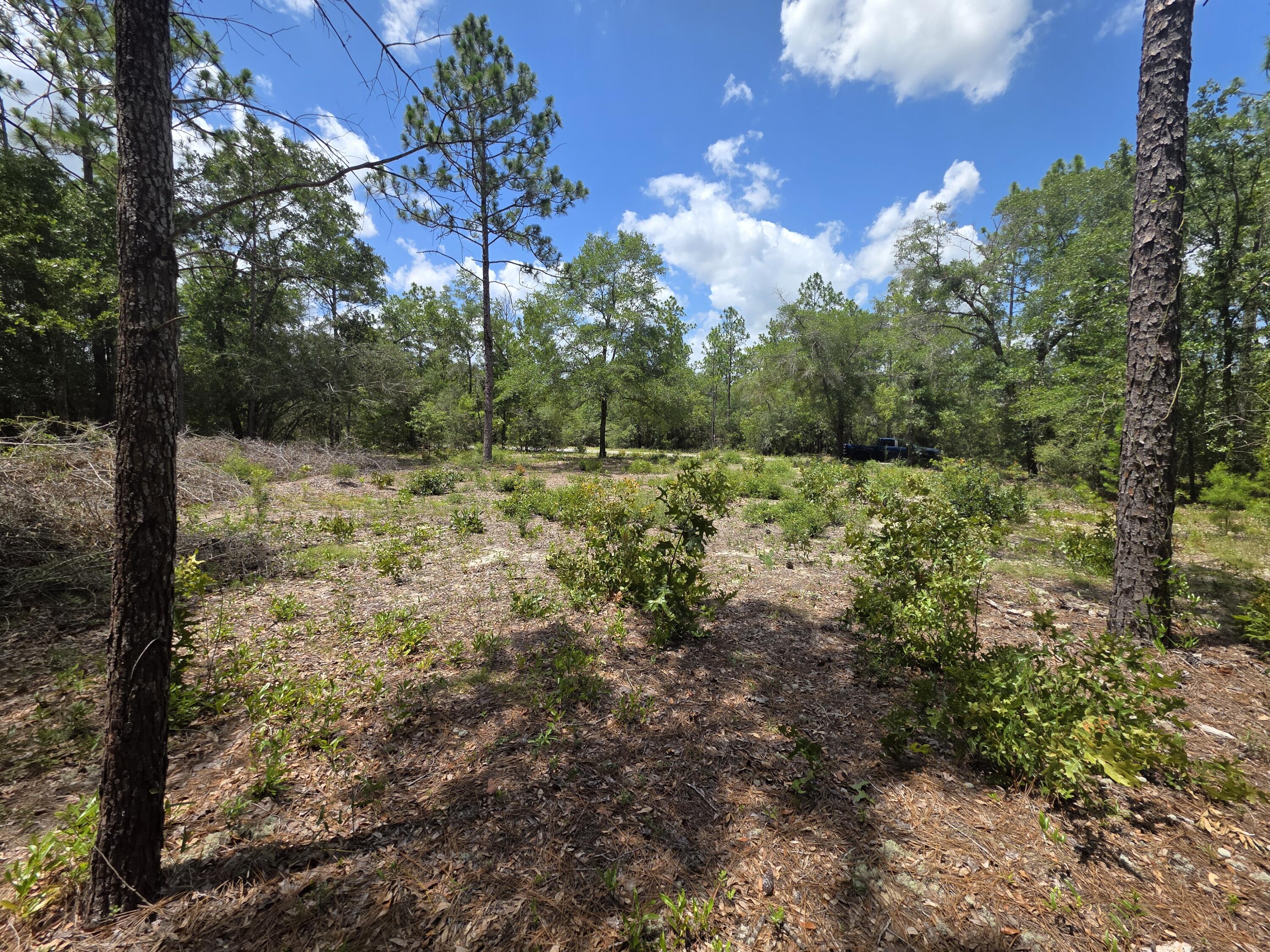 OAKWOOD HILLS UNIT 1 - Land