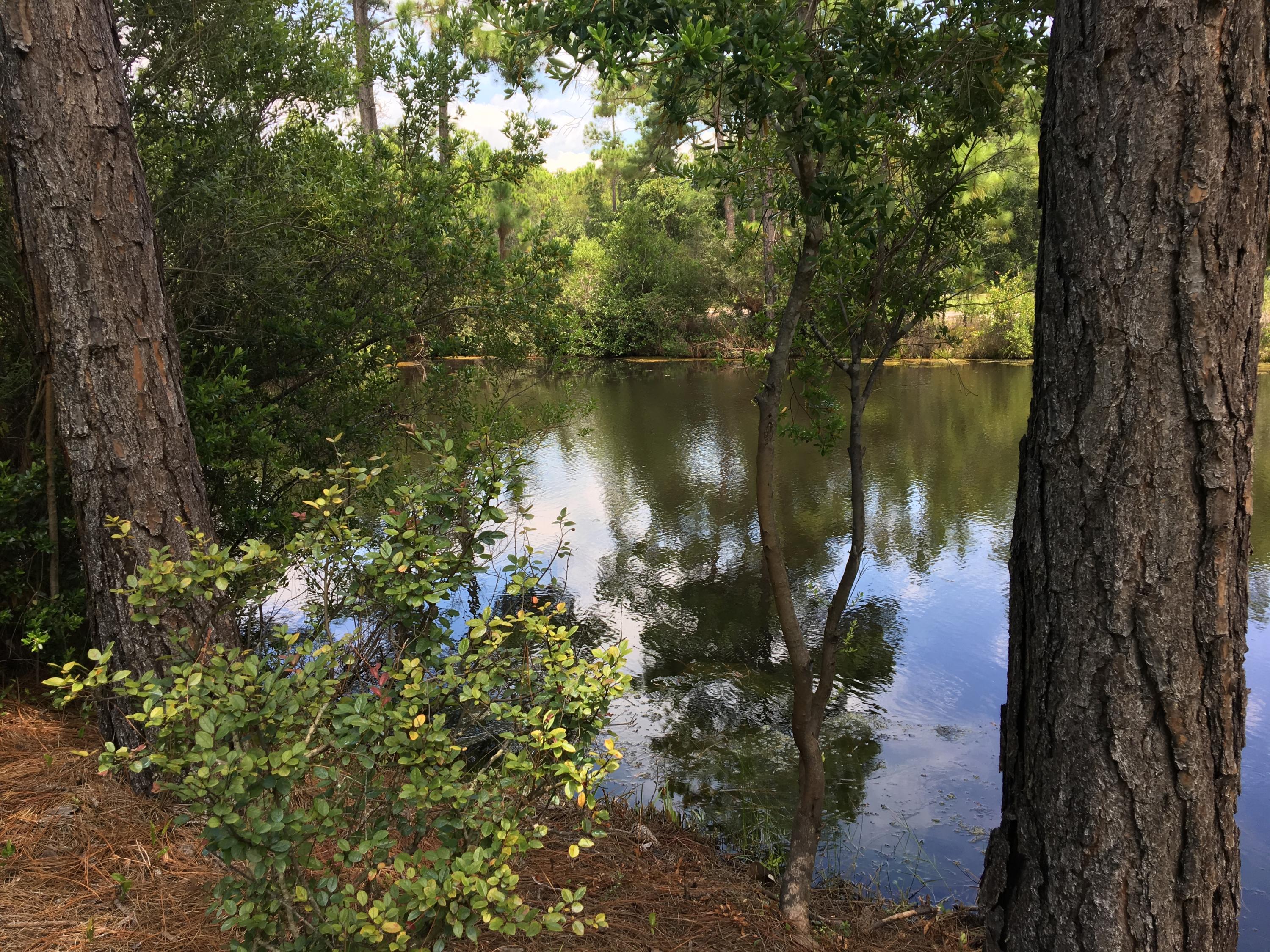 Waterfront Community with Deeded Access to the Intracoastal Waterway! Build your dream home here! This .30 acre lot is high and dry and ready to build. Property backs up to a small pond in your own backyard. Smugglers Cove is a Sound Front community that boasts Deeded Waterfront access, fishing pier, private club house, tennis court, community pool and underground utilities. Yes, all of that. Just a short ride to the sugar white sands and sparkling Emerald Coast on the Gulf of Mexico. Close to beaches, bases, schools and shopping!