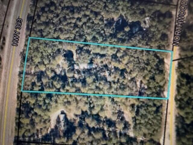 Build your dream home on this beautiful 2.10-acre property! Offering the perfect blend of privacy and convenience, this versatile parcel provides paved road access from Highway 393 as well as additional dirt road access to the rear of the property.

Utilities are readily available with water and power at the road, and the lot is ready for a septic system, making it ideal for your future build. With endless possibilities, this property is suitable for a single-family home, mobile home, or manufactured home.

Conveniently located just 15 minutes from Crestview and approximately 30-45 minutes to area military bases and the beautiful Emerald Coast beaches, this property offers easy access while still maintaining a peaceful, rural setting. It is also located just minutes from the Shoal River Ranch Gigasite off Highway 90, adding to its long-term value and growth potential.

Don't miss this opportunity to own land that offers both privacy and a prime location. Schedule your showing today!