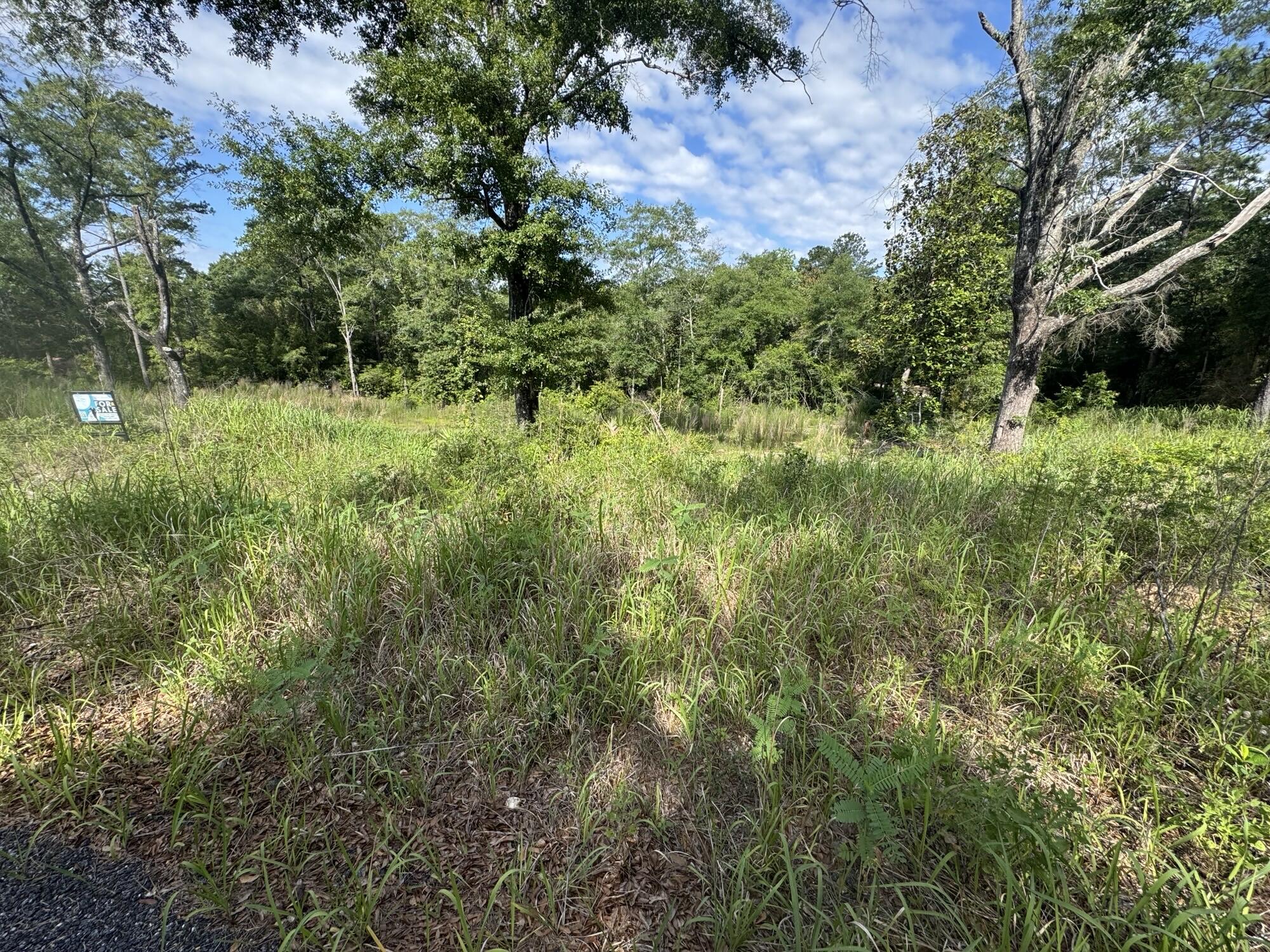 area south of defuniak springs townlimits and I-10. - Land