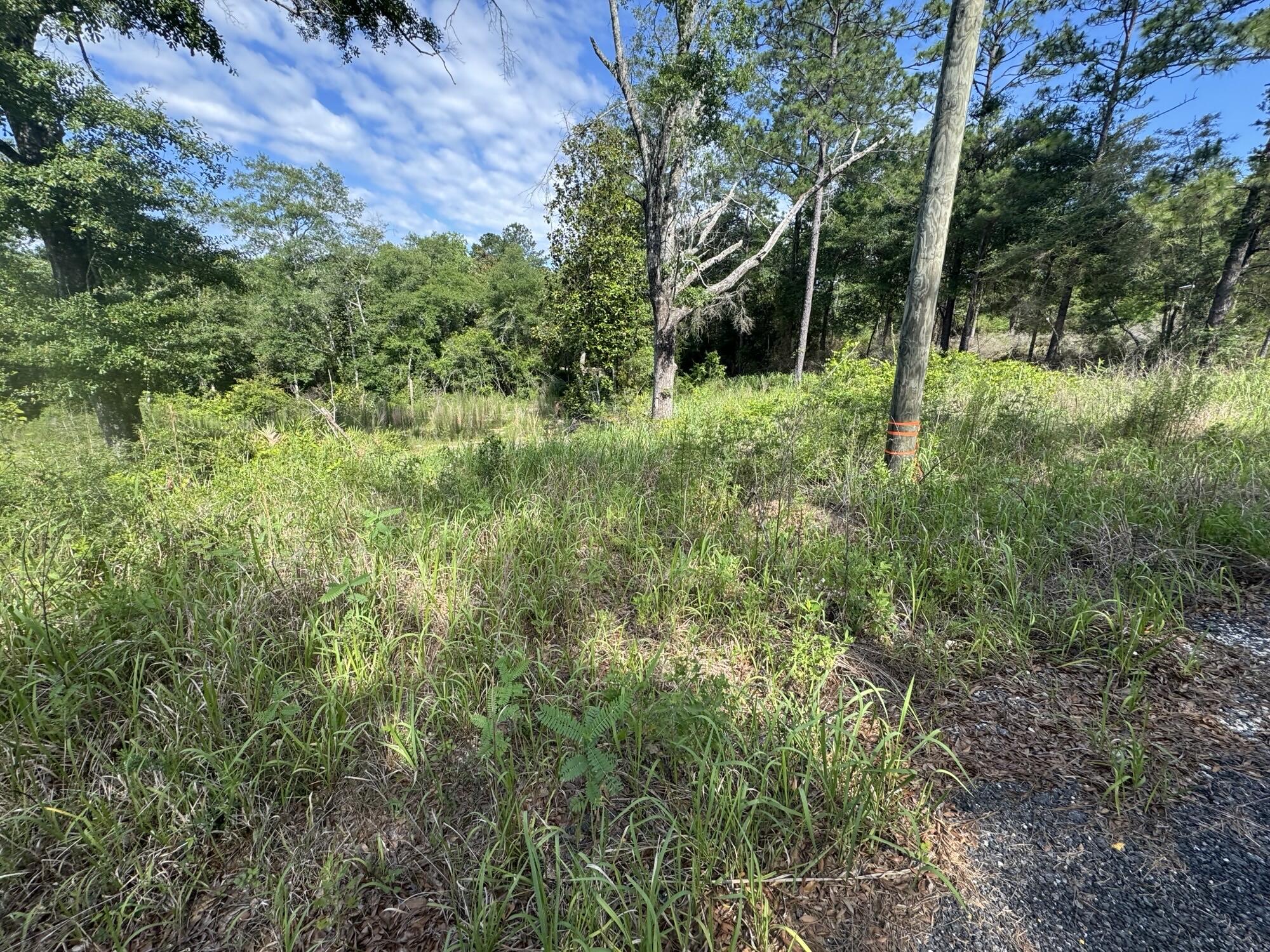 area south of defuniak springs townlimits and I-10. - Land
