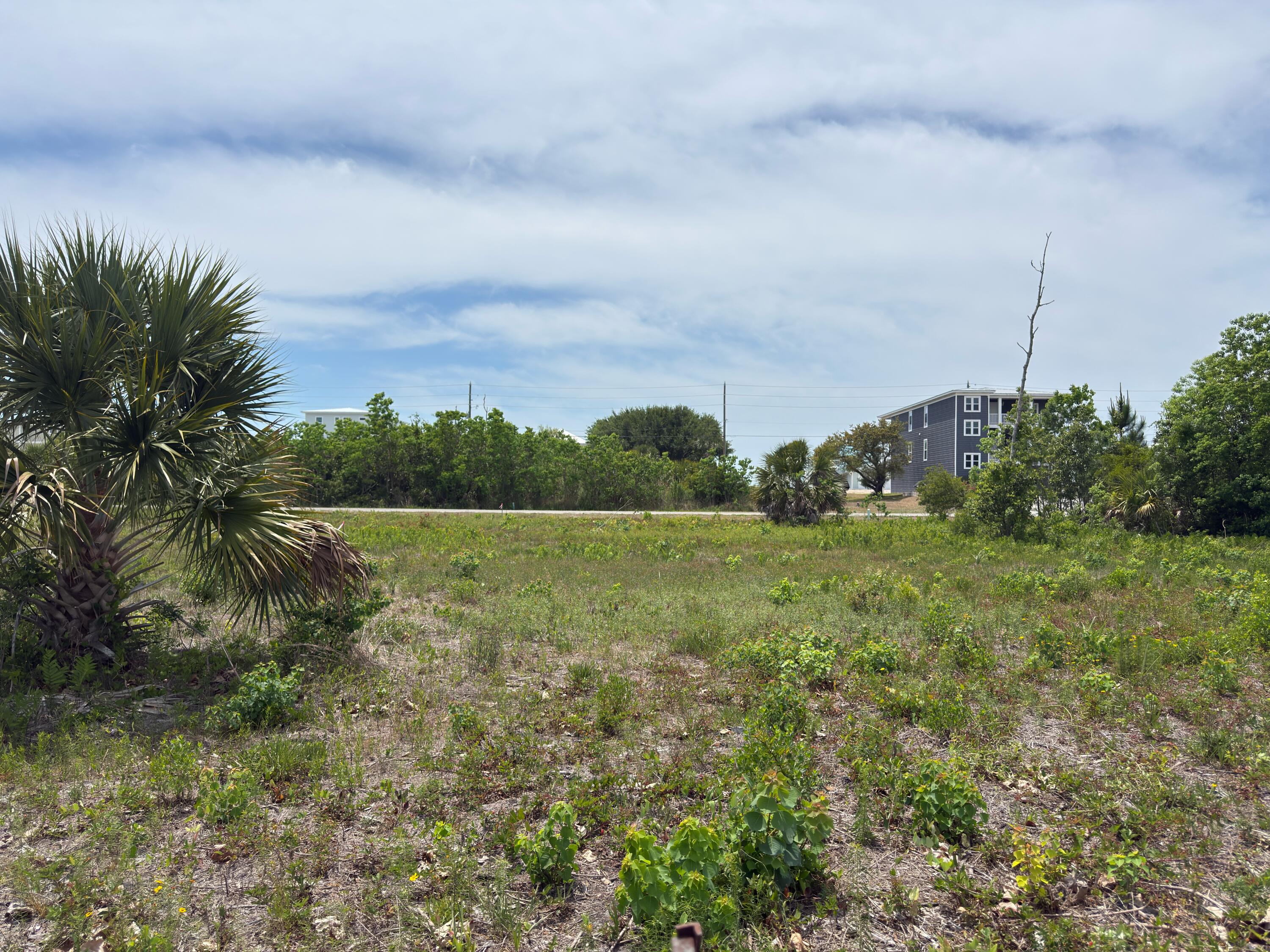 Second block, double access lot with easy access to the dedicated and public beaches of Mexico Beach. Bring your building plans and vision as there is plenty of creative options on this homesite. It even has double access points via Florida Ave. or Fortner Ave. This X FLOOD ZONE lot is only about 500' from the beach, where one can enjoy a short evening walk or golf cart ride and witness some of the most glorious westerly facing sunsets anywhere. Easy back access to your neighbors, parks, commercial spots, and other locations via the Florida Ave Boulevard. Competitively priced in line with comparable sales in the same block. Same owner owns the contiguous lot (see MLS listing number 328040) New survey on file. Parcel was recently split and is only 1/2 of the Bay County Property Appraiser's parcel ID #. Some information obtained via the Bay County Property Appraiser's website, please verify if important