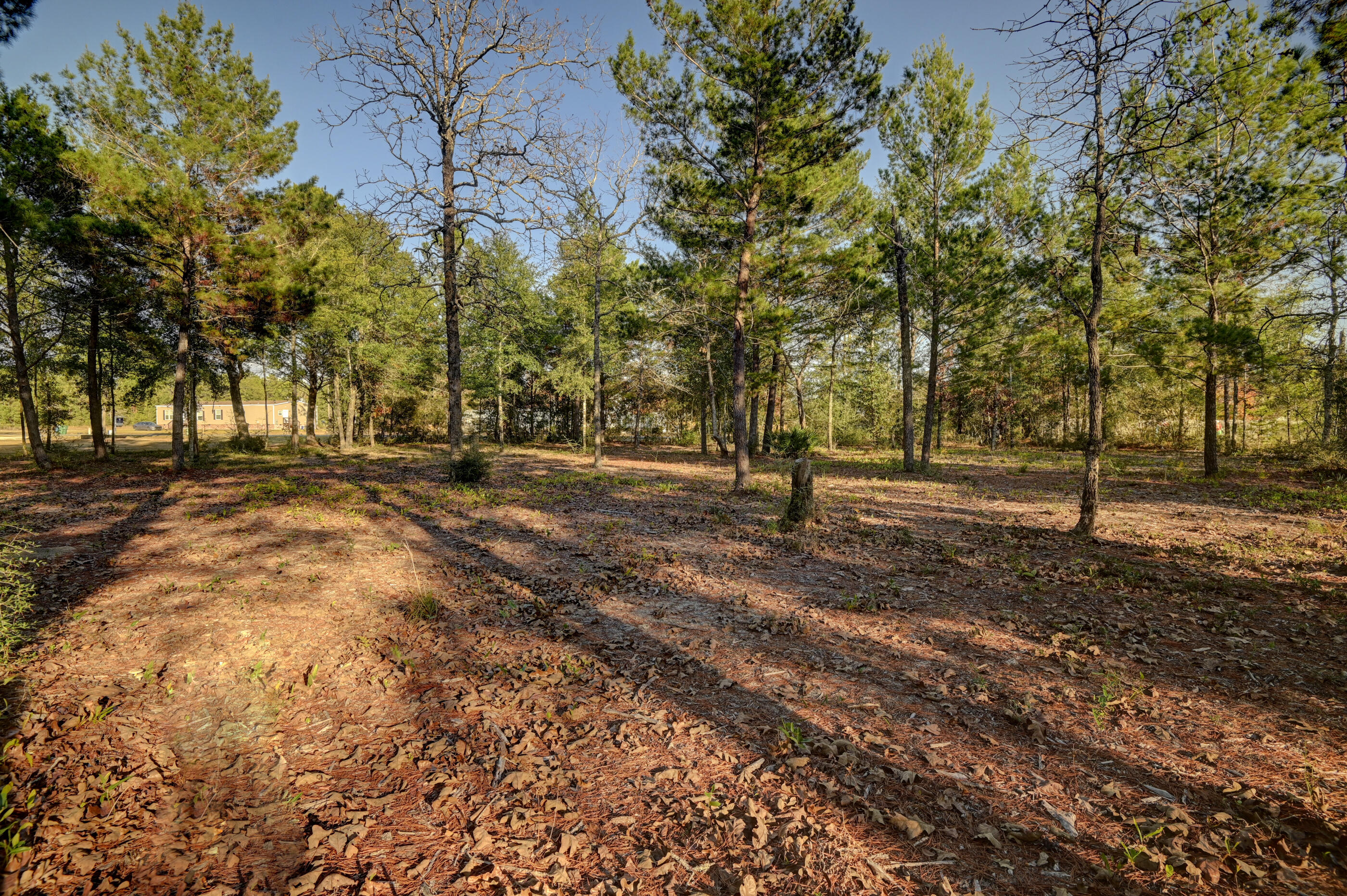 WOLFORD ACRES - Residential