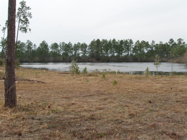 LAKE ROSEMARY SOUTH - Land