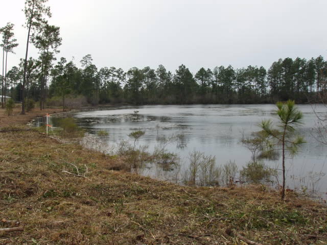LAKE ROSEMARY SOUTH - Land