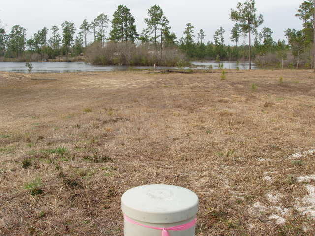 LAKE ROSEMARY SOUTH - Land