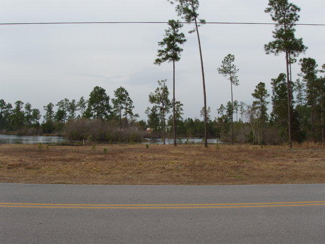 LAKE ROSEMARY SOUTH - Land