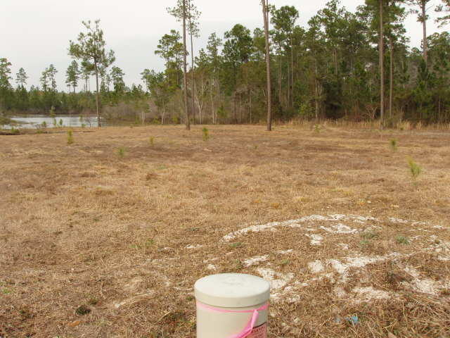 LAKE ROSEMARY SOUTH - Land
