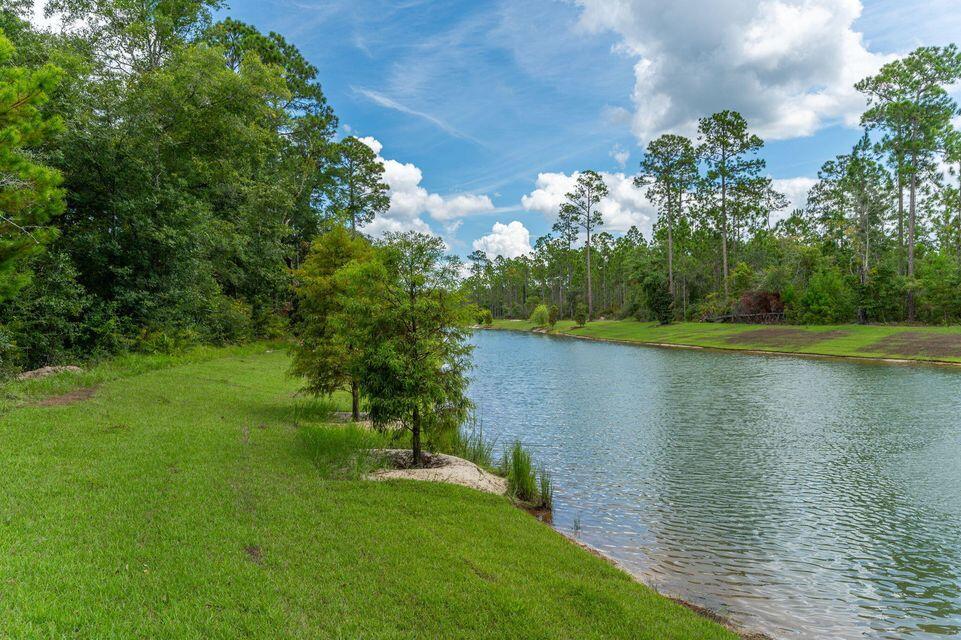 Bear Creek - Land