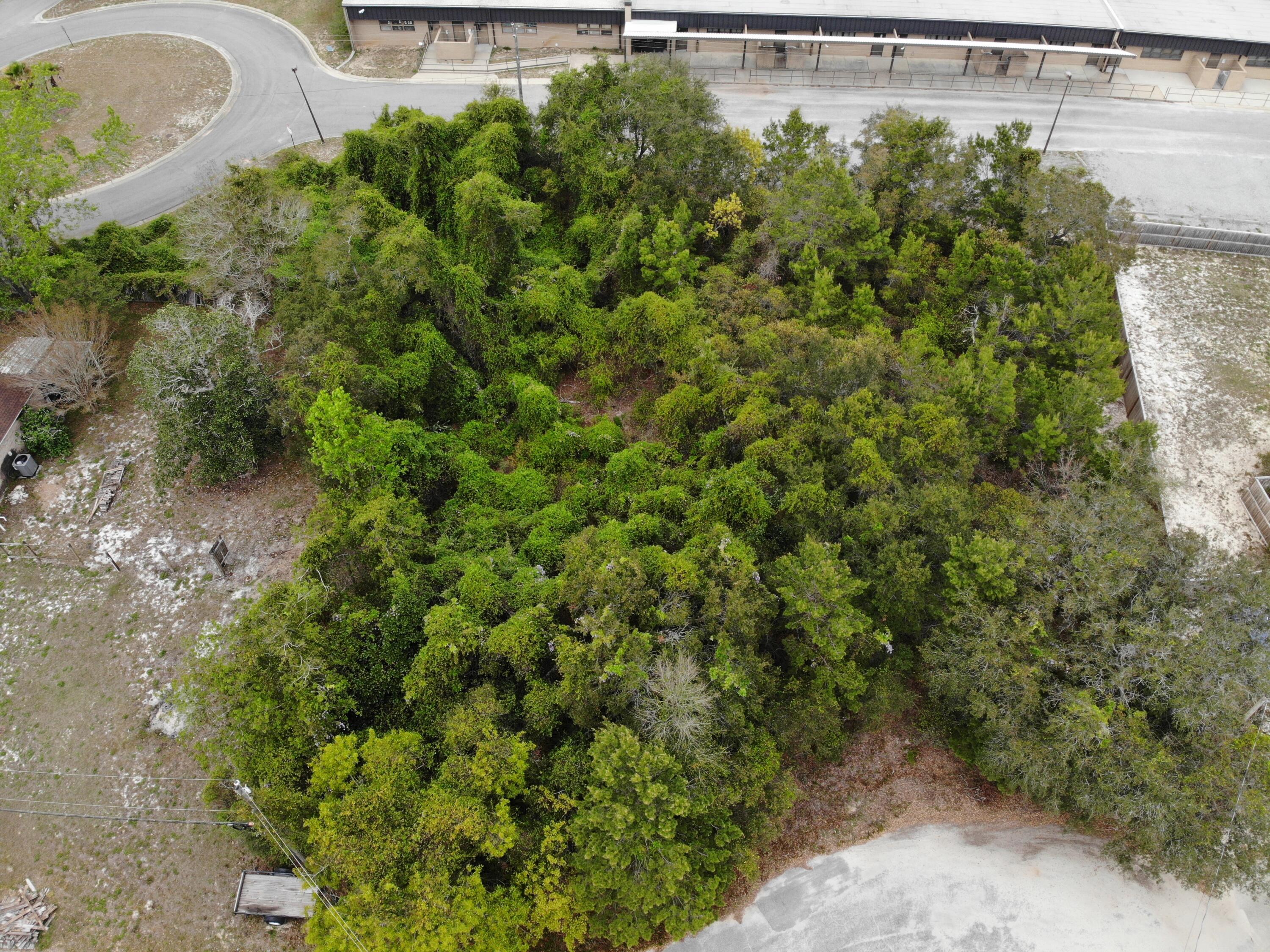 Prime opportunity for builders and investors! This .45-acre wooded lot offers excellent potential for a custom home or investment build in an established residential area. Situated on a cul-de-sac street with surrounding homes, the property provides a strong foundation for new construction with nearby utilities and easy access for development. The generous lot size allows flexibility in home design, footprint, and outdoor features, ideal for maximizing value.  Located just minutes from Navarre Beach, shopping, dining, this lot is positioned in a high-demand area with continued growth. Additionally, its proximity to Holley-Navarre Middle School enhances long-term marketability for future resale.  Don't miss this chance to secure a build-ready homesite in one of Navarre's expanding markets. markets.