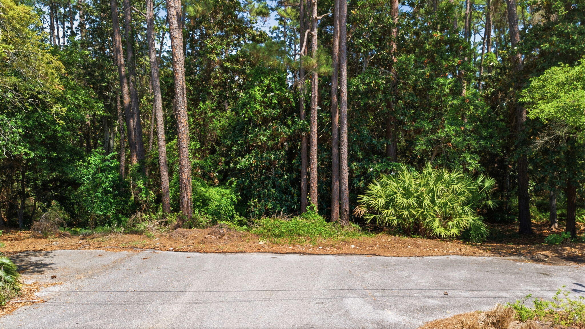GULFVIEW HEIGHTS 1ST ADDN - Land