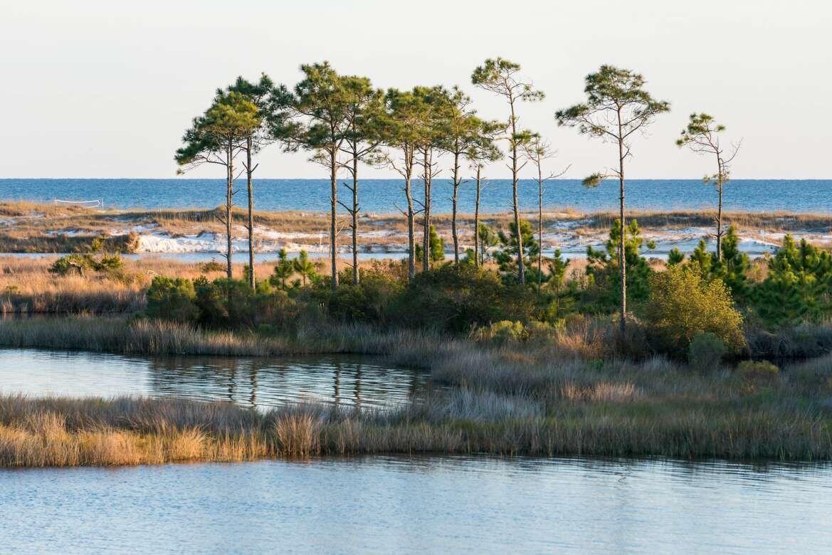 GRANDE POINTE AT INLET BEACH - Residential