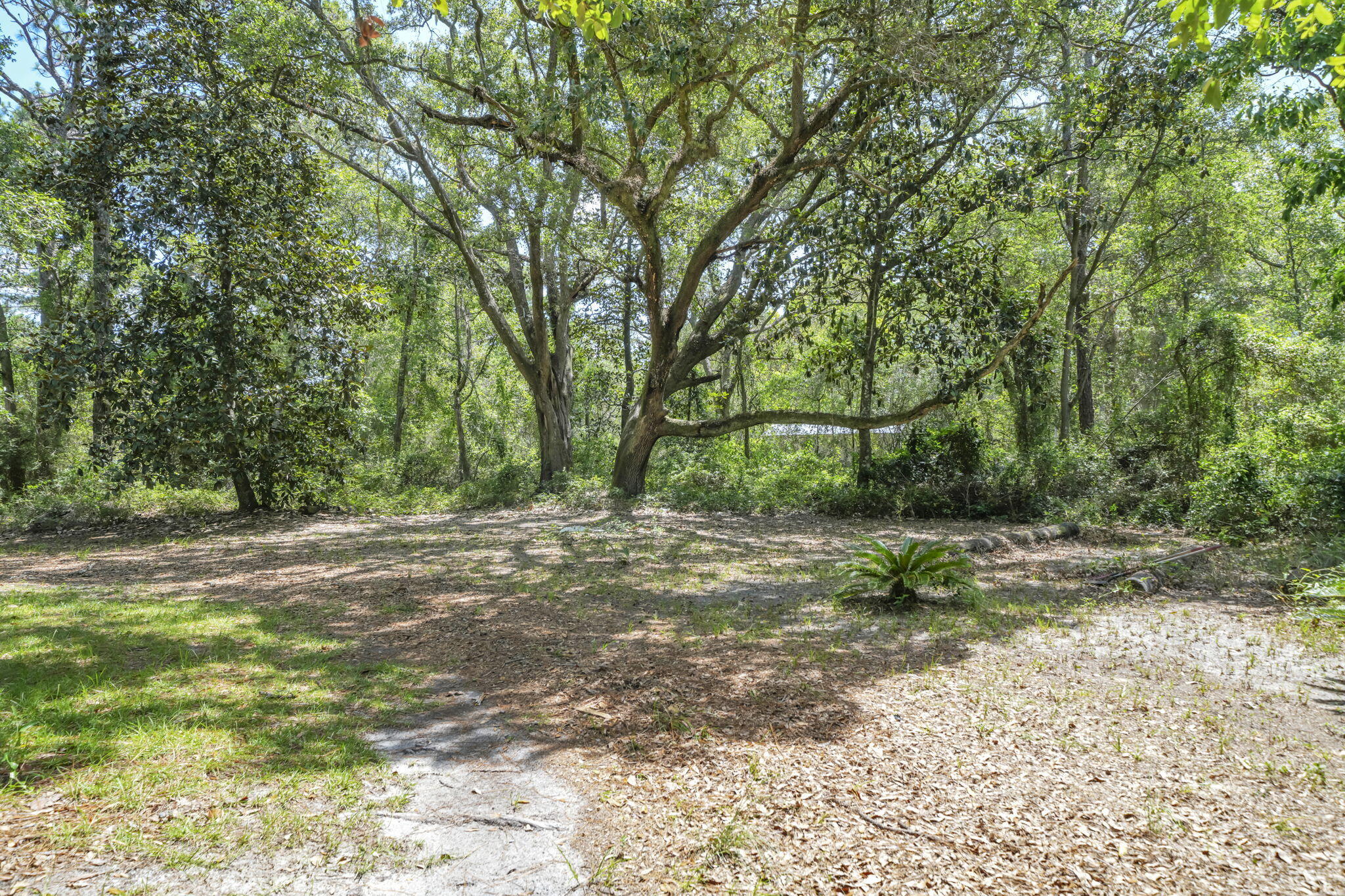 Ramsey Oaks - Land