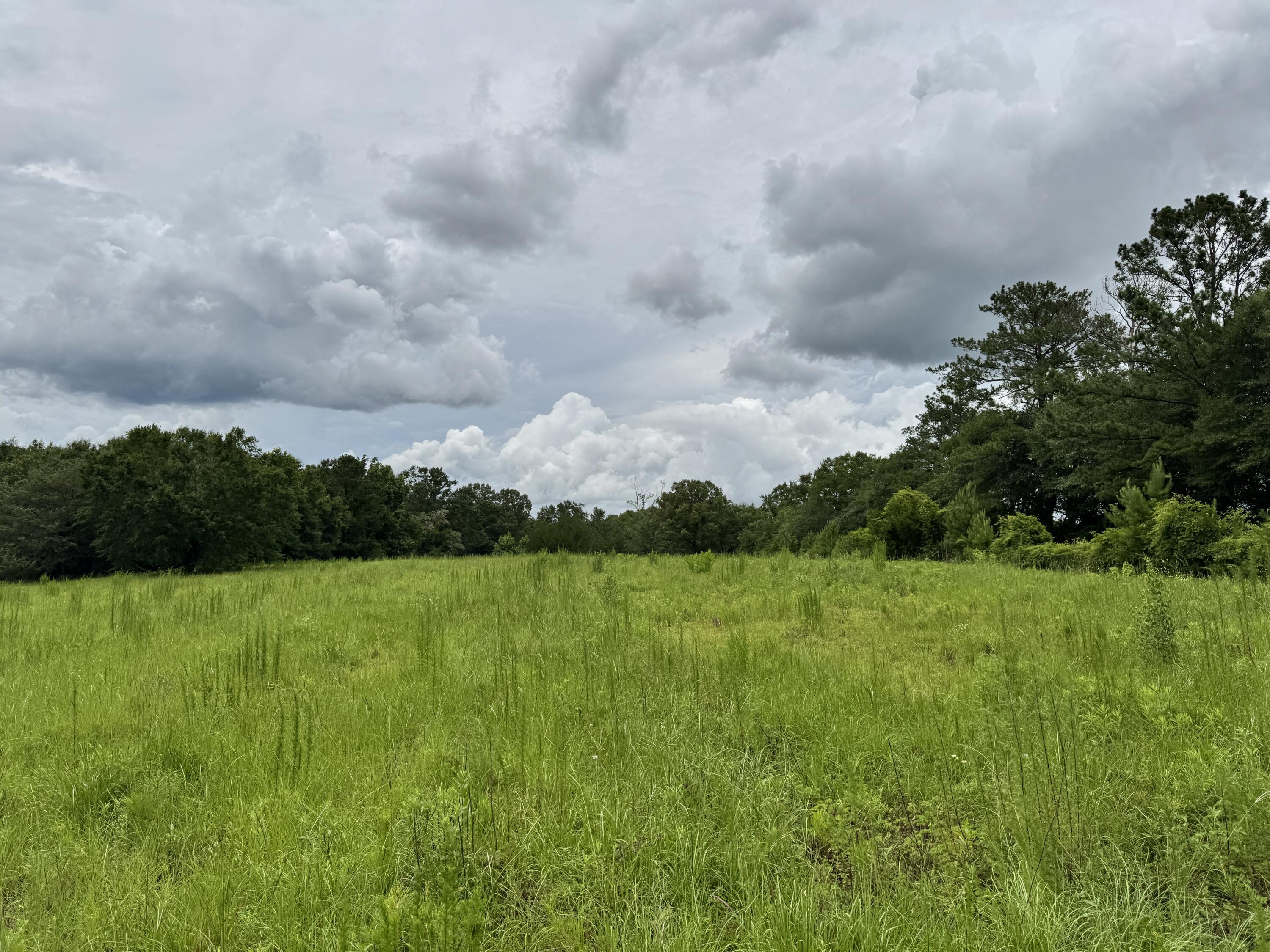 Countywide Residential - Land