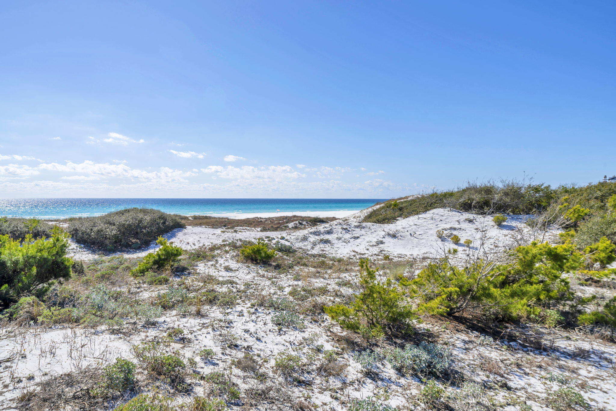 THE PRESERVE AT GRAYTON BEACH - Land