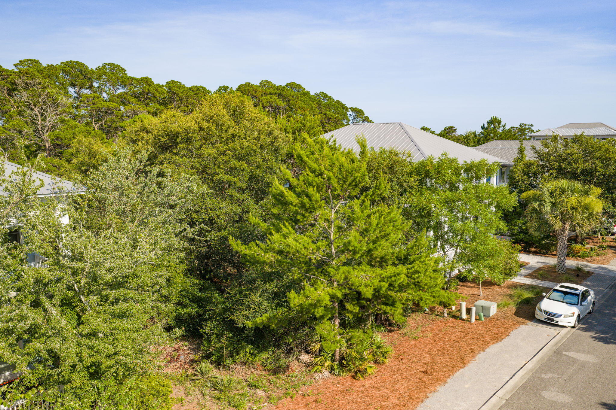 THE PRESERVE AT GRAYTON BEACH - Land
