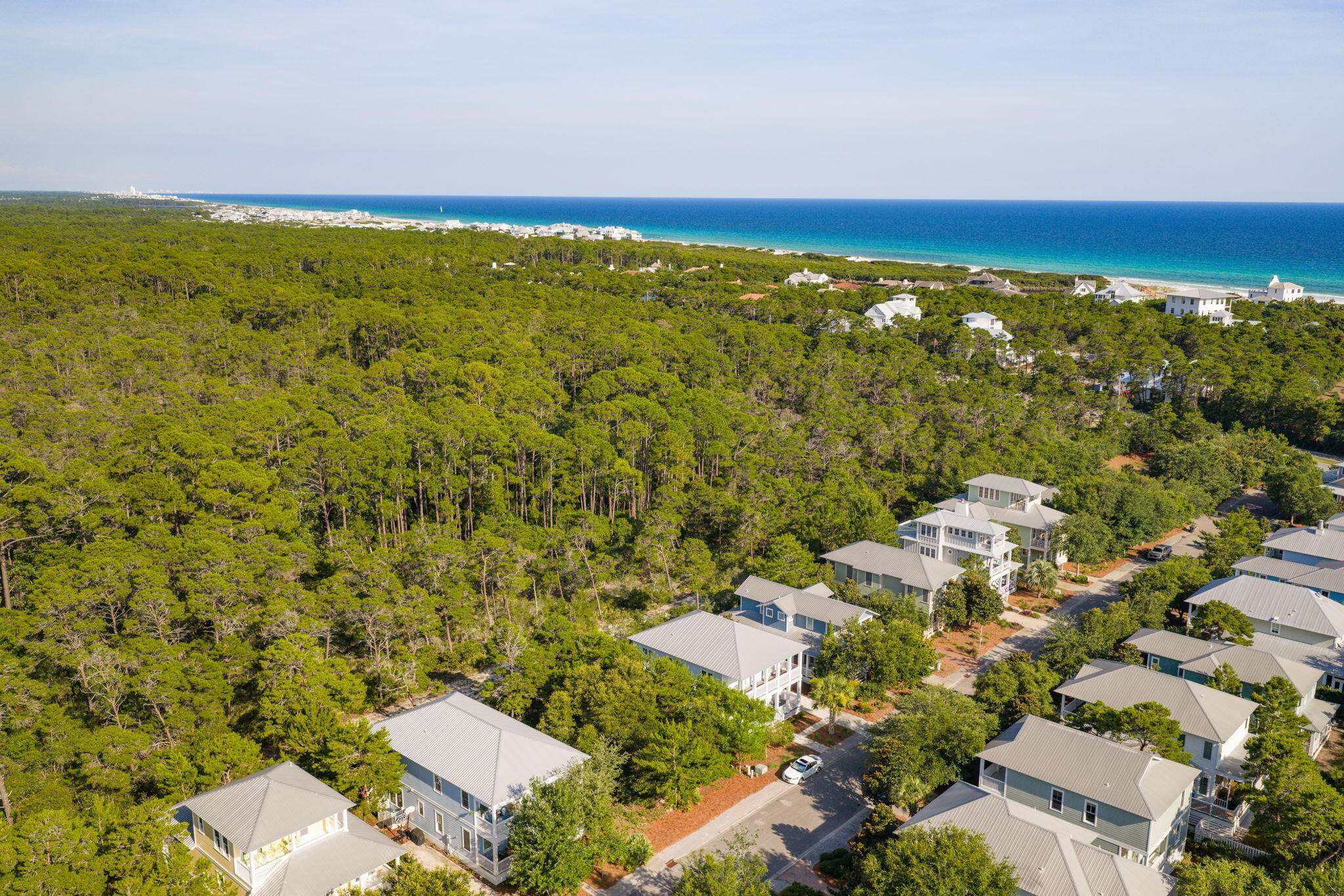 THE PRESERVE AT GRAYTON BEACH - Land