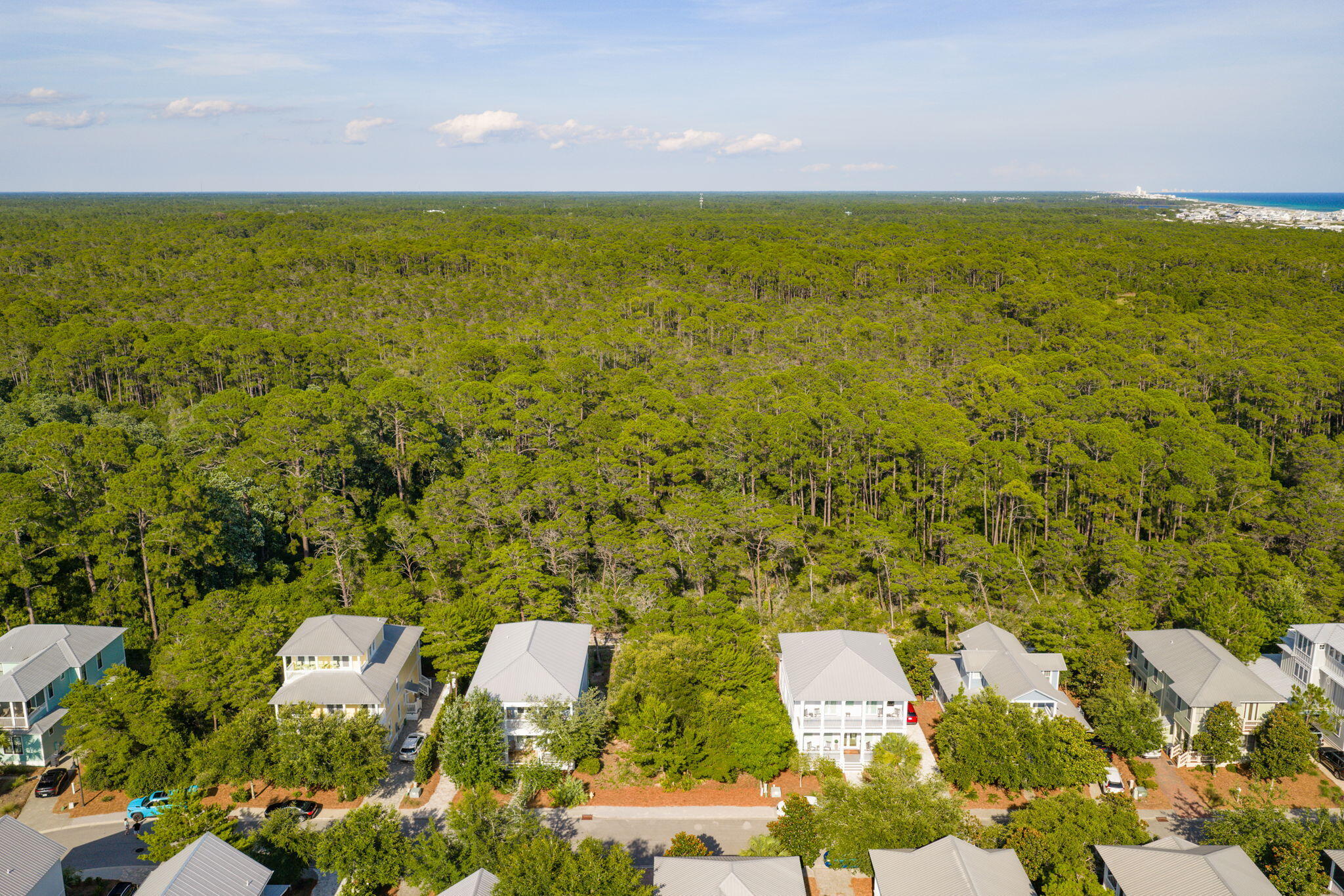 THE PRESERVE AT GRAYTON BEACH - Land