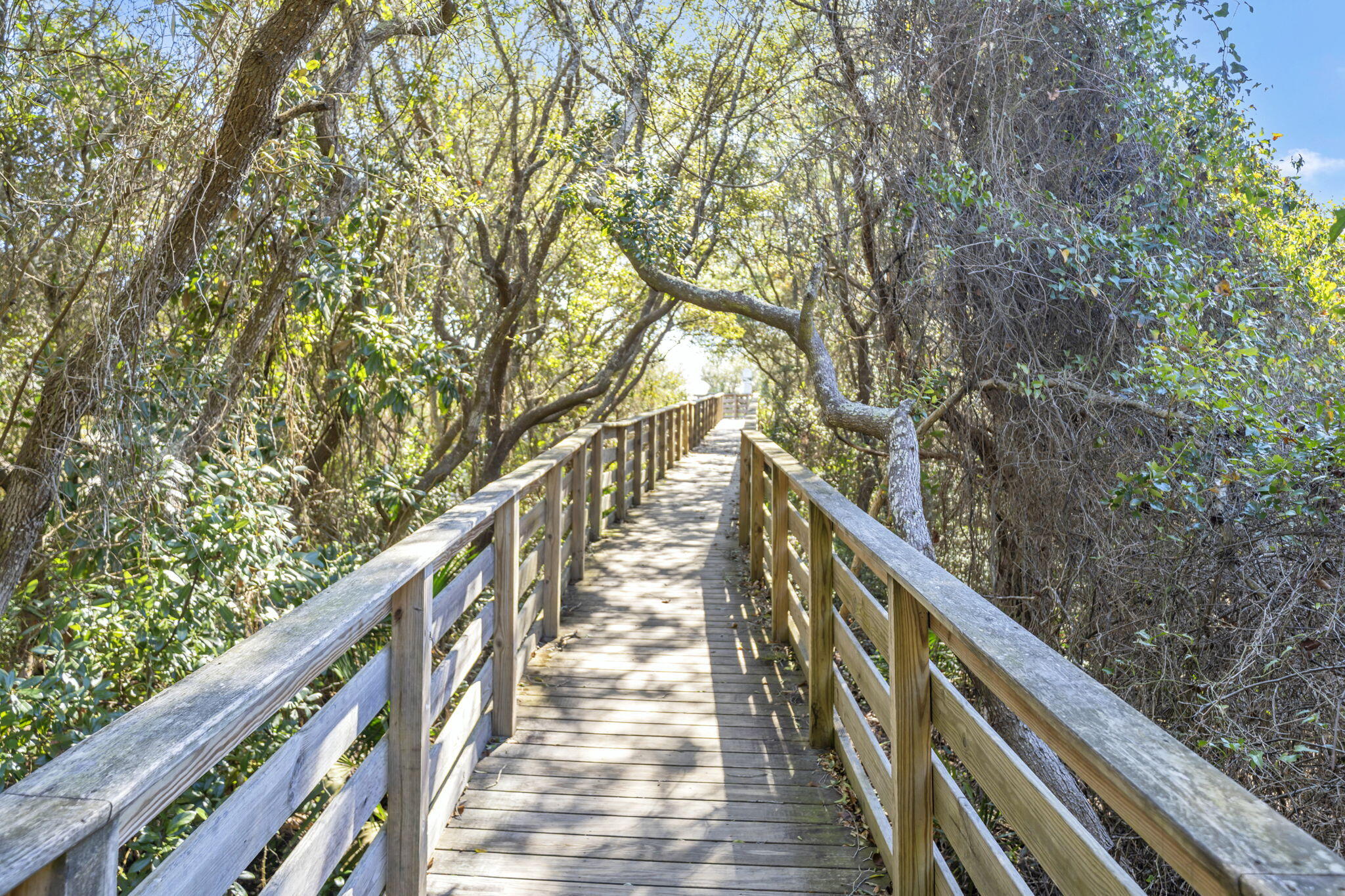 THE PRESERVE AT GRAYTON BEACH - Land