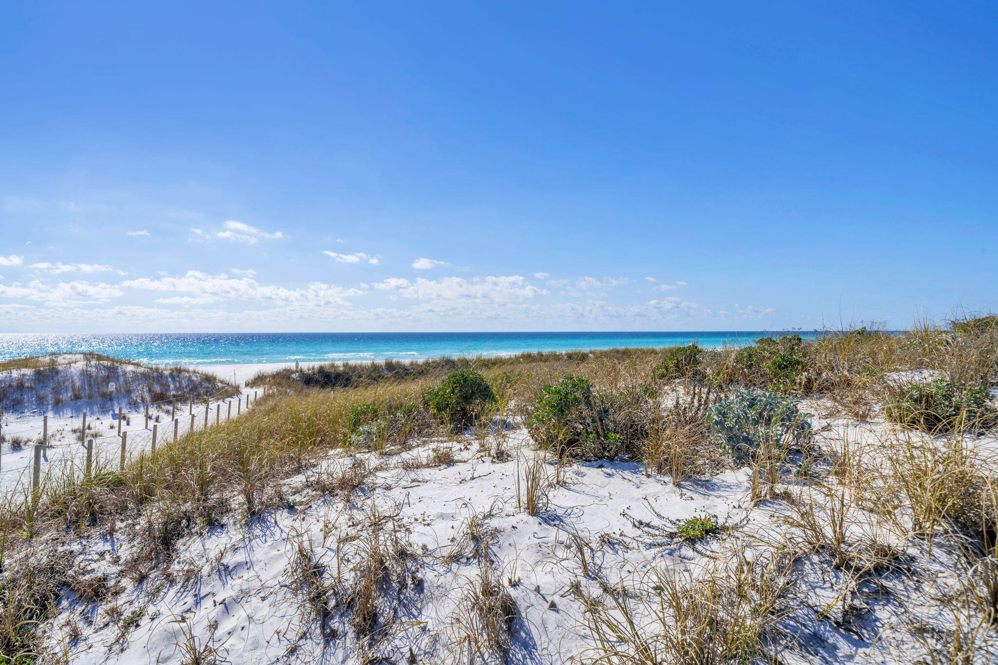 THE PRESERVE AT GRAYTON BEACH - Land