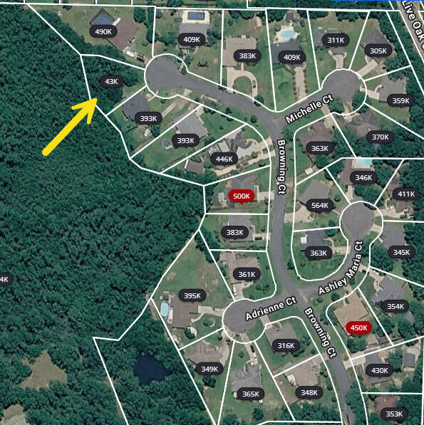 Motivated Seller & Priced to sell!!  Recently bush-hogged for easy viewing and tucked within an established neighborhood just south of I-10, this homesite offers the perfect balance of privacy, convenience, and everyday accessibility. 

No HOA fees. Neighborhood homes selling for upwards of $500K and starting in the mid 300's.

Surrounded by attractive homes -- many featuring pools and well-maintained outdoor spaces -- the setting feels peaceful and residential while remaining just minutes from shopping, dining, medical facilities, and major commuter routes.

Located in a highly convenient area for those traveling to Eglin AFB, Hurlburt Field, and surrounding employment centers, the property benefits from being south of the interstate, helping reduce the afternoon northbound congestion familiar to many local commuters.

Nearby conveniences include Walmart Supercenter, Starbucks, Chick-fil-A, Texas Roadhouse, Cracker Barrel, North Okaloosa Medical Center, and numerous retail and service destinations, all within a short drive.

Whether you are looking to build, invest, or secure a homesite in a growing area with strong long-term appeal, 4672 Browning Ct presents an outstanding opportunity in one of Crestview's most convenient locations.

Not ready to build? Buy now for later or save as an investment in a beautiful neighborhood!