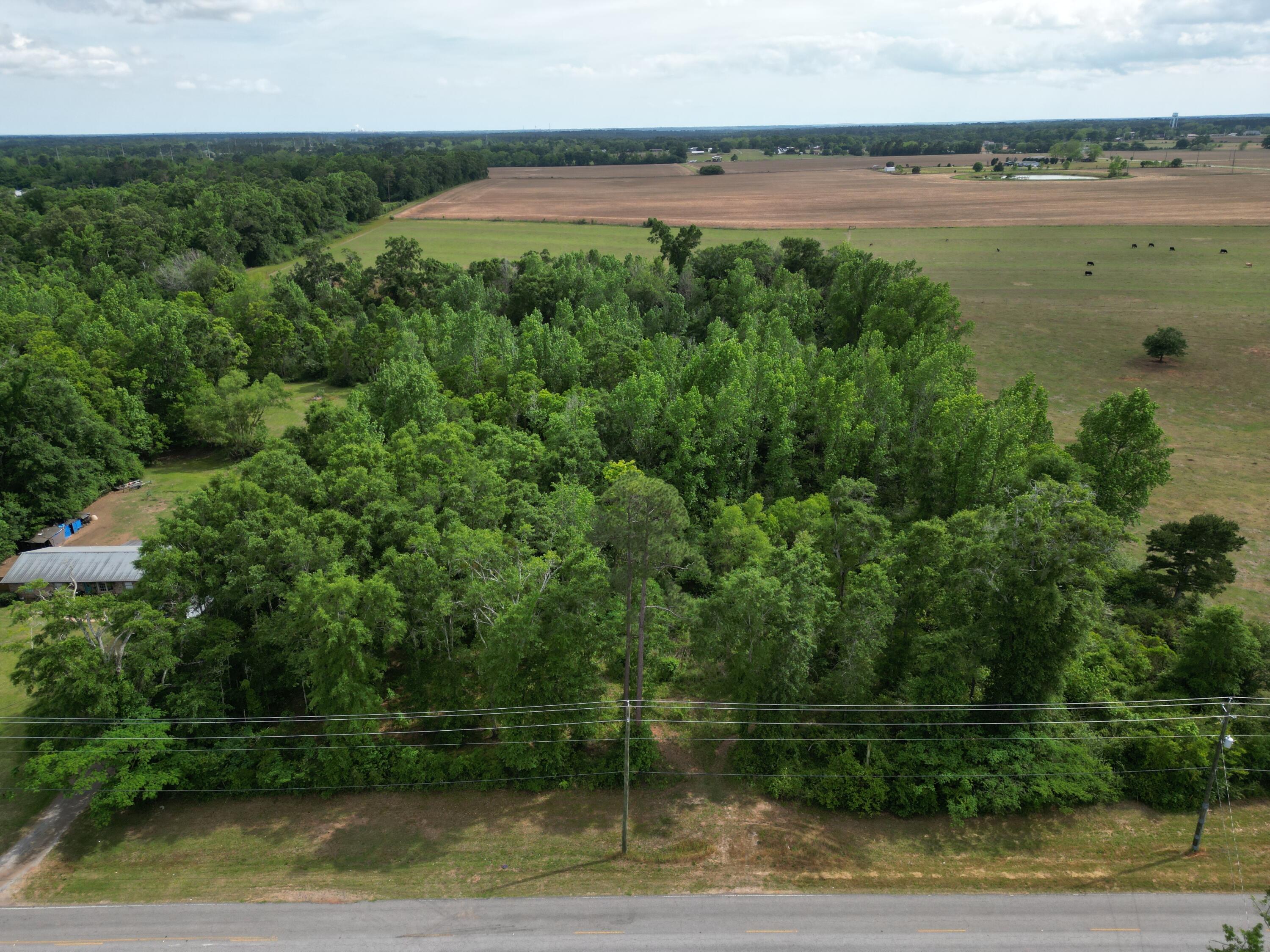 Build two homes and maximize returns, or keep the full acreage for a private estate with room to breathe. This is an opportunity to acquire 4.8992 acres of vacant land in Molino, Florida, zoned RMU and primed for development. Whether you're a builder, investor, or end-user, this parcel delivers exceptional flexibility and value.
The seller has done the heavy lifting: a complete document package conveys with the sale, including a wetland study, soil and septic analysis confirming favorable conditions for a subsurface septic system, a survey of the full 4.8992-acre parcel, and a proposed 2-lot split survey. The groundwork is laid; you're stepping in at the finish line.
Currently configured at 330 x 665 feet, the property is positioned to divide into two buildable 165 x 655-foot lots -- each offering generous dimensions ideal for custom home construction.
 Septic needed . Seller has wetland study, soil septic analysis which shows soil is favorable for subsurface septic system, a survey for the entire 4.8992 acres and a survey for a proposed 2 lot split. THIS IS PARCEL A . see survey