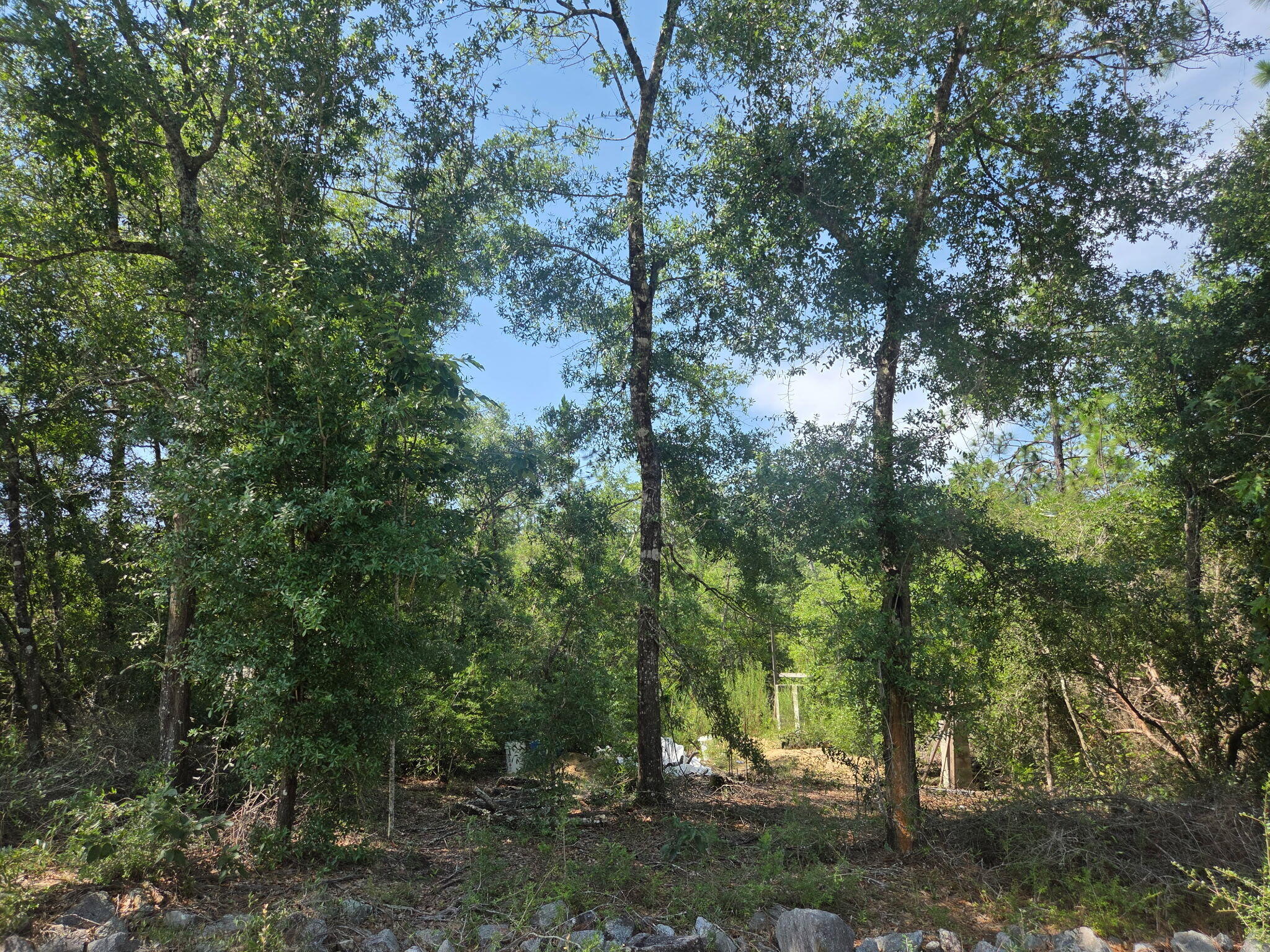 OAKWOOD HILLS - Land