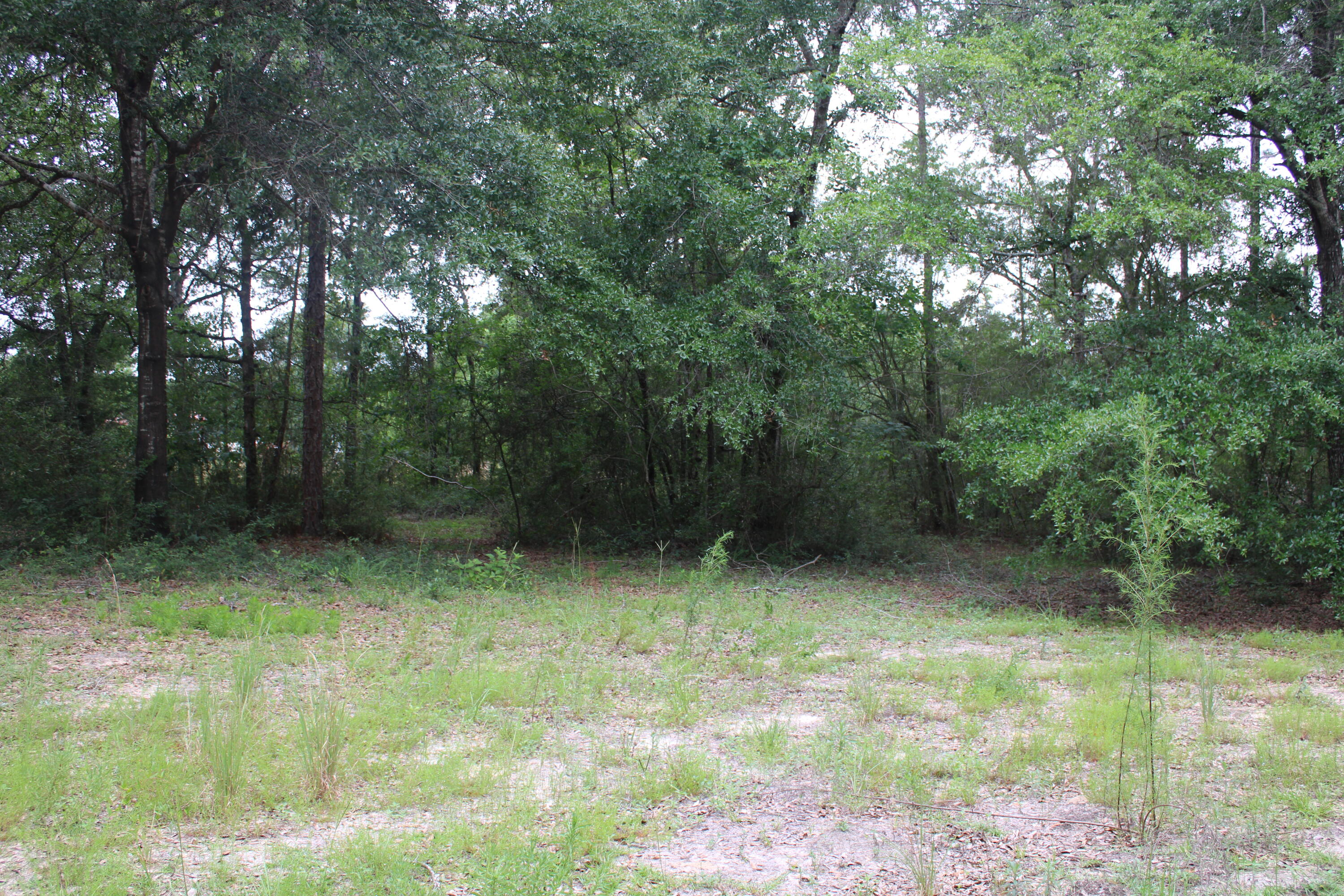 Prime .55-Acre Homesite in Walton County!

Discover the perfect opportunity to build or place your new home on this spacious .55-acre parcel in desirable Walton County, Florida. This property offers a power pole already on-site, helping reduce your development costs and making it easier to get started. Located outside of a flood zone, you'll enjoy added peace of mind and flexibility for future improvements.

Mobile homes are allowed, making this property an excellent option for homeowners, investors, or those seeking an affordable path to land ownership. A septic system and water source (well or available tap connection) will be needed, allowing you to customize the property to meet your needs.

Enjoy the privacy and freedom of country living while remaining conveniently close to DeFuniak Springs, local shopping, schools, and the beautiful Emerald Coast beaches. Whether you're looking to build now or invest for the future, this versatile parcel offers endless potential.

Don't miss this affordable opportunity to own land in growing Walton County!