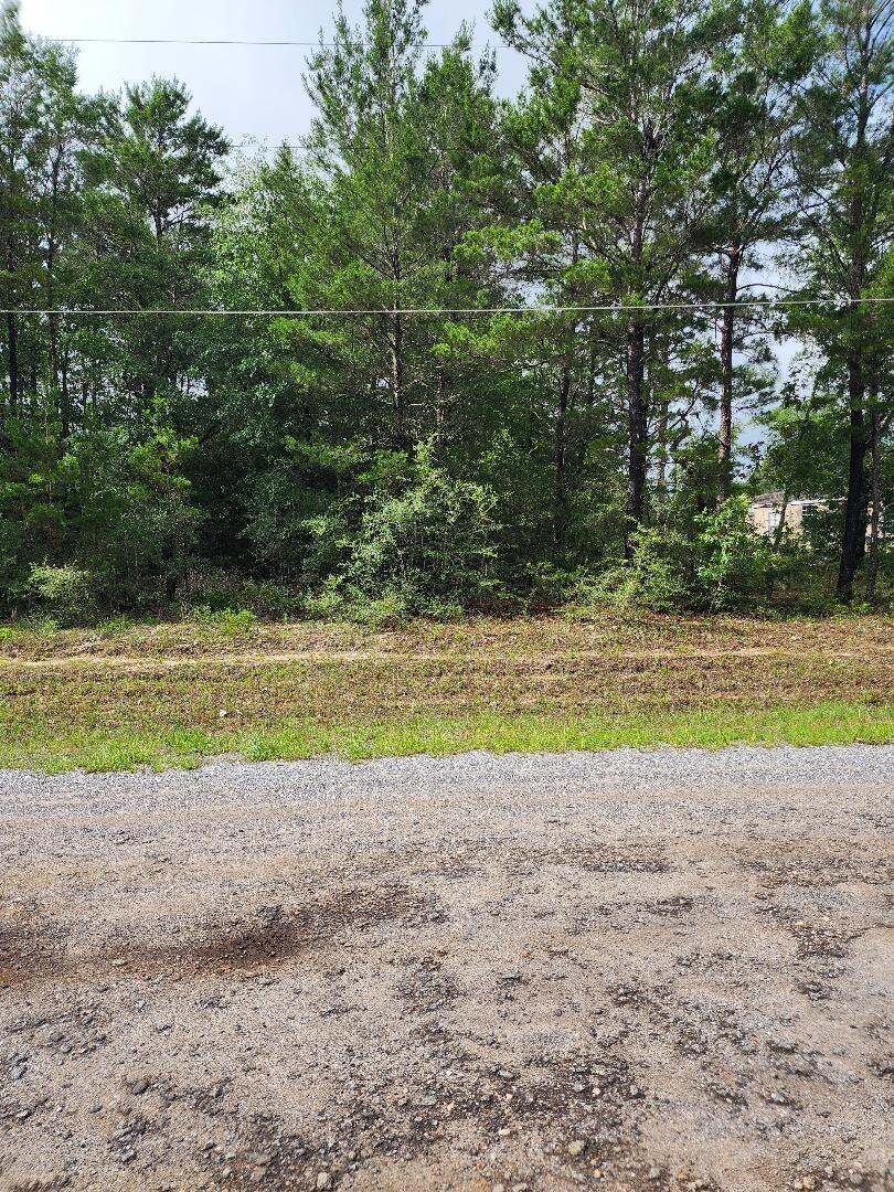 Excellant building lot - Paved Road Frontage. Lot is wooded. Both electricity and public water are availabee to lot. Tap fees have not been paid. Septic tank will be needed. Lot is located between DeFuniak Springs and Mossy Head Community. Easy access to I-10 and Hwy 285 with an exit to Niceville and Destin to the Beaches. Additional Lot Available.(MLS 1004240)