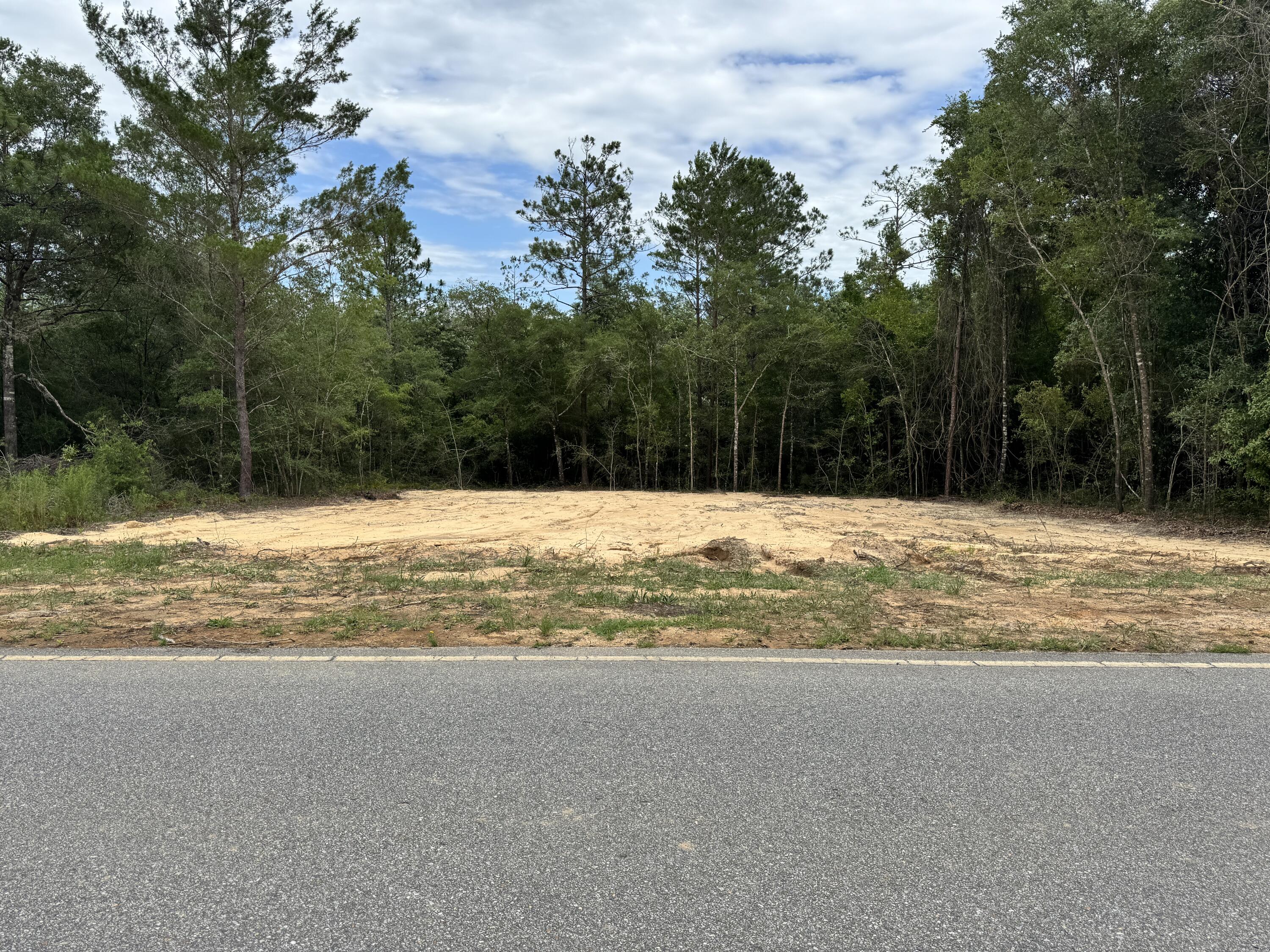 Discover this beautiful 0.34-acre cleared lot in Mossy Head, offering the perfect setting for your future home or investment property. The property features a small line of trees along the rear boundary, providing privacy and a natural backdrop, with a peaceful stream running behind the lot. Conveniently located on a paved road, the property offers easy access while maintaining a quiet, rural atmosphere.

Electric and public water are available at the road, with a water tap fee required. A septic system will be needed for development. Whether you're looking to build now or invest for the future, this property offers a great opportunity in a desirable location.