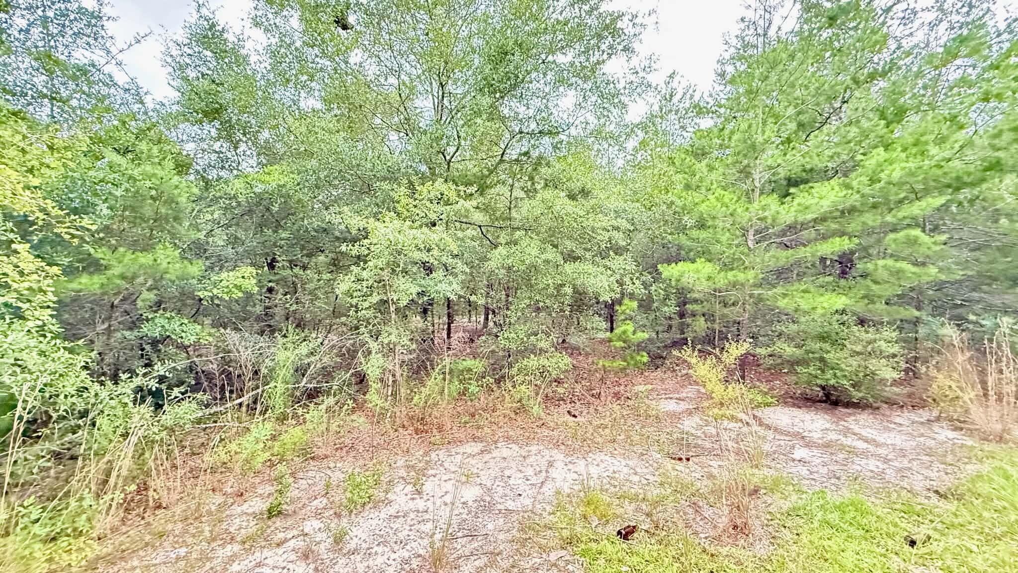 JUNIPER LAKE ESTATES - Land