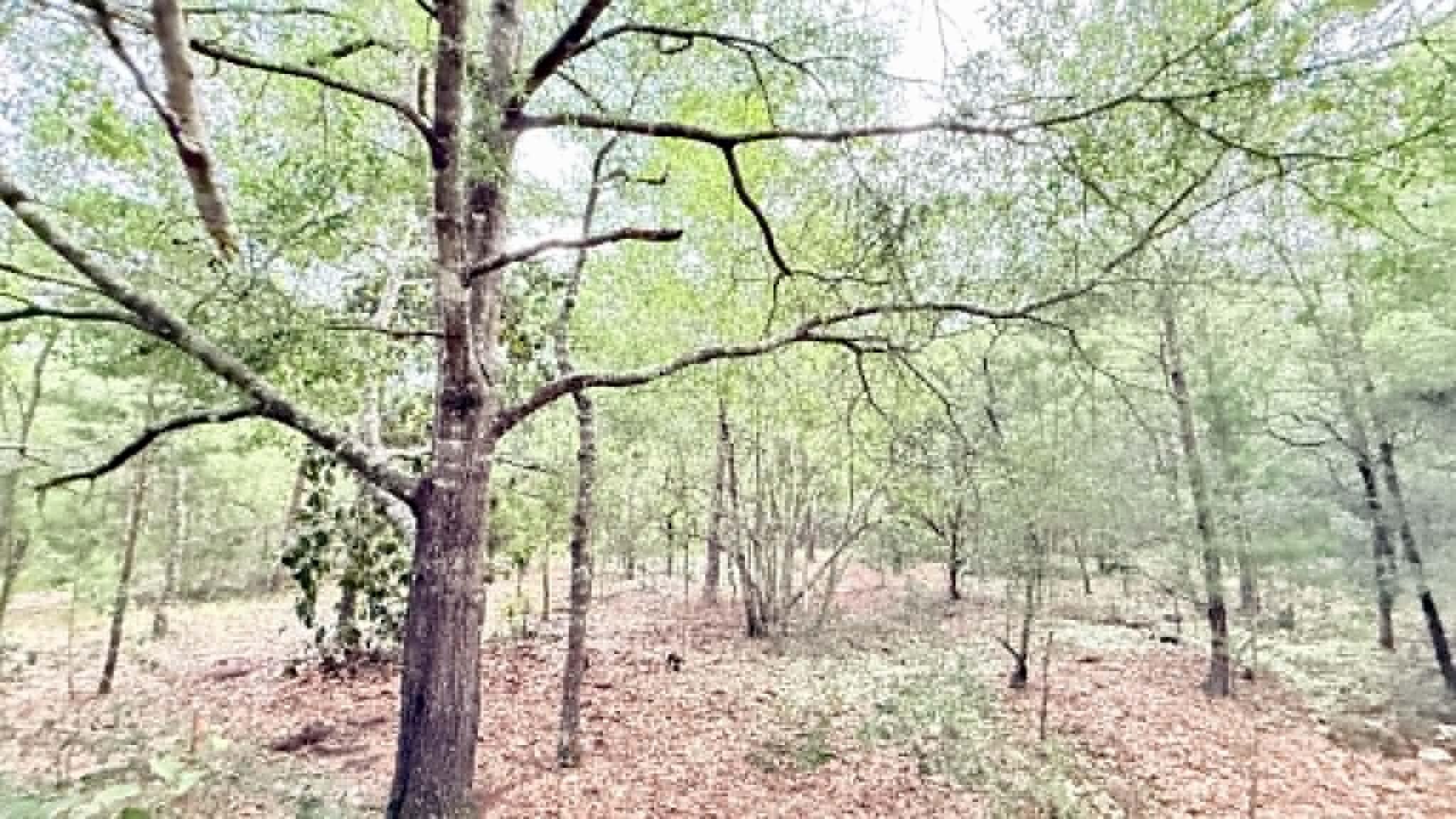 JUNIPER LAKE ESTATES - Land