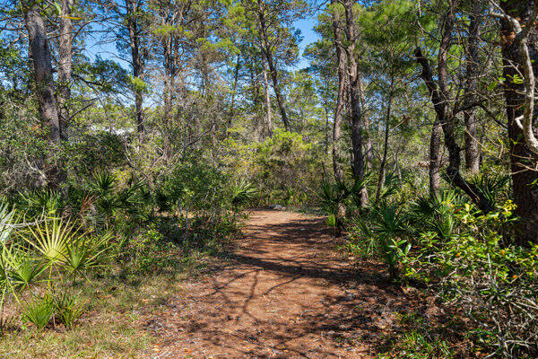 DRAPER LAKE COASTAL VILLAGE - Land