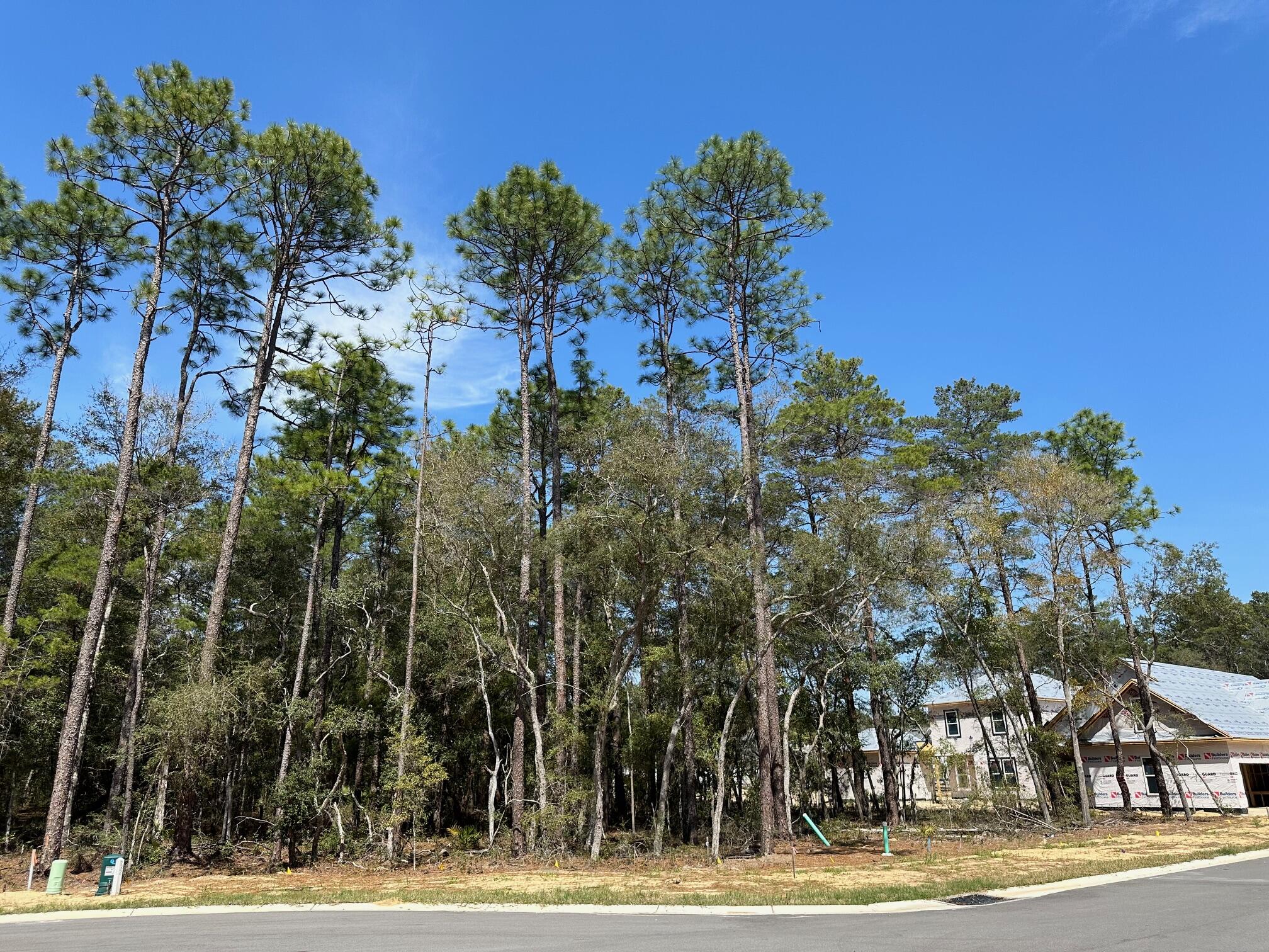Build your dream home in Ph 7 of Deer Moss Creek, in a quiet, flat cul-de-sac lot. .64 of an acre one of the largest lots left to build on .Only 7 cul-de-sacs left.  Choose from one of the approved builders for DMC. Neighborhood amenities include, natural walking trail, pool, club house, small children's park, basketball ct and gazebos .  Deer Moss Creek is the largest, new home subdivision in Nicevlle, w/ 1,100 acres to be build out over 20 + years.  Plans include a commercial, Town Center .