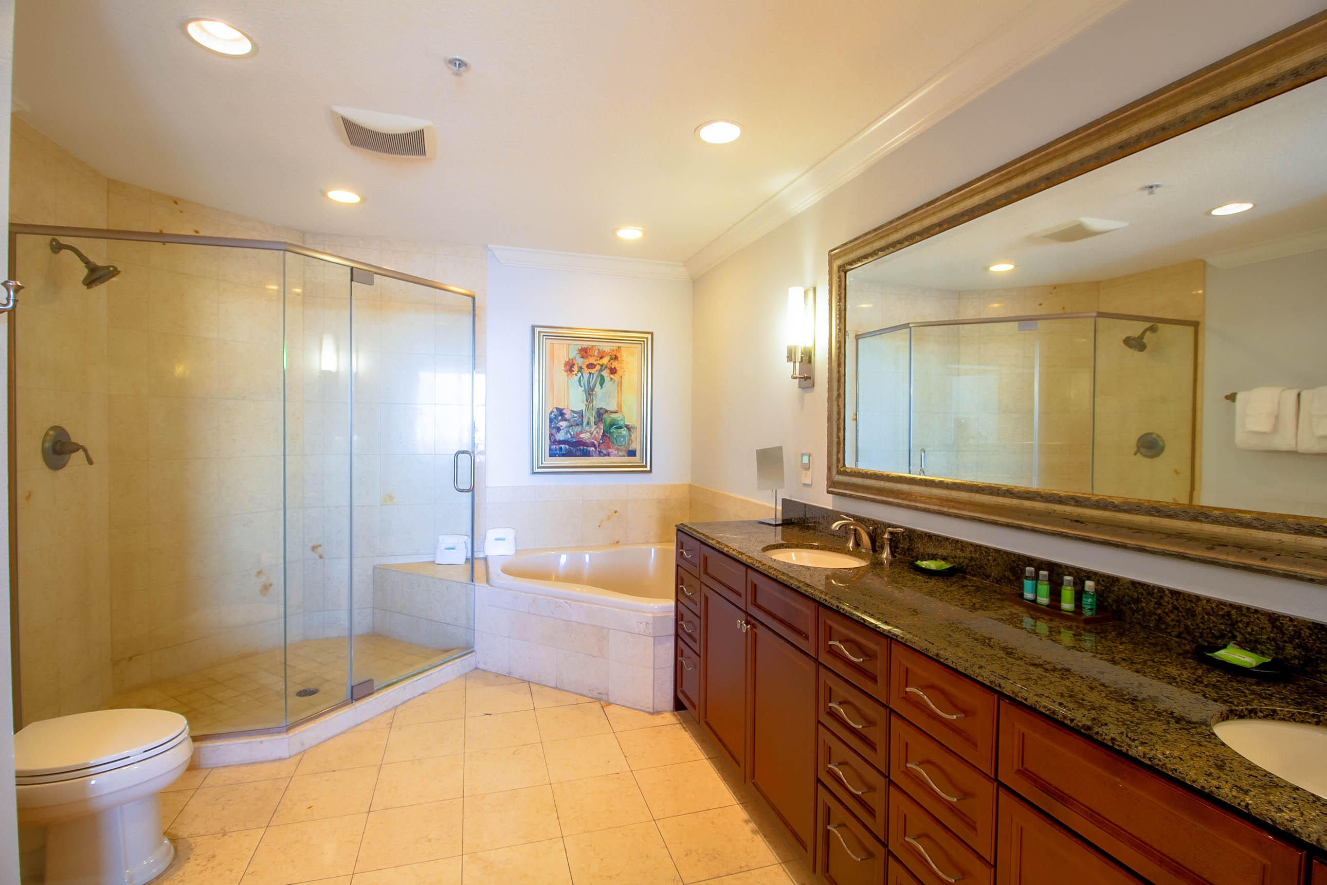 EMERALD GRANDE - Residential