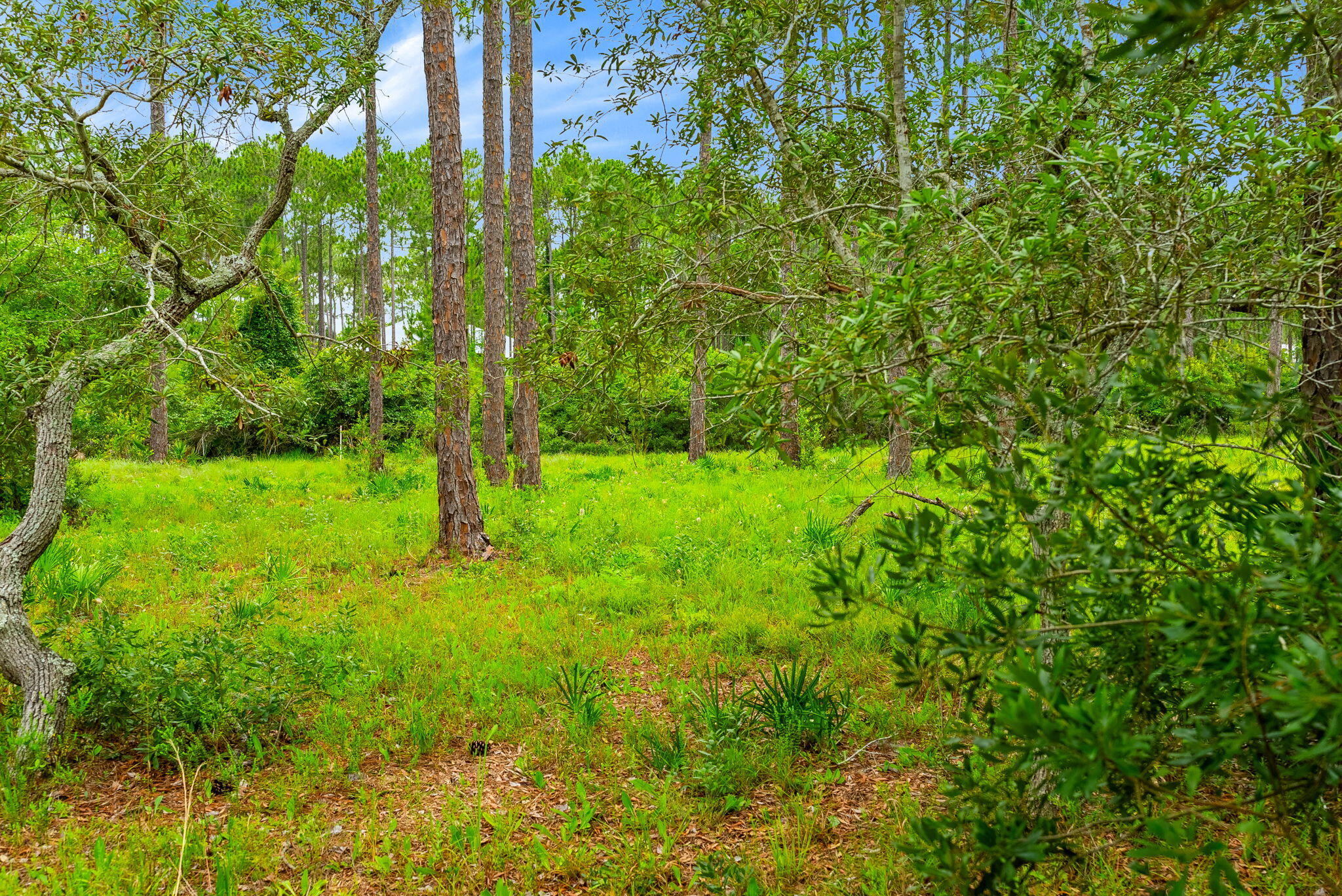 RIVERCAMPS ON CROOKED CREEK PH 2 - Residential