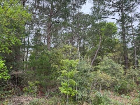 Build your dream home on this quiet street and UPLANDS lot in Holley by the Sea! Very few lots are all UPLANDS and ready to build; Holley by the Sea Vacant lot has Wetland Study in documents; Well located lot offers owners all the amenities of Holley by the Sea. Ownership includes membership to Holley by the Sea's multi-million dollar 45 acre recreational center with 8 clay tennis courts, Pickleball, 3 swimming pools, full gym, aerobics, summer camp, lighted basketball courts, sauna & steam room, playground game room, community house on Santa Rosa Sound with playground, dock, access to the East Bay boat launch and many community events. Only minutes to the pristine white sugar sand beaches and emerald water of the Gulf of Mexico; Close to shopping, restaurants, and more!