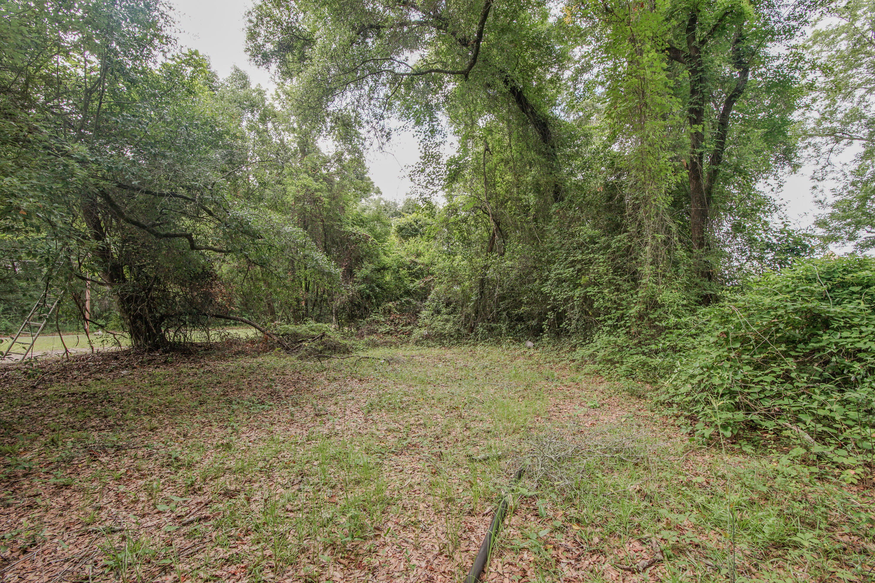TOWN OF DEFUNIAK SPRINGS - Land