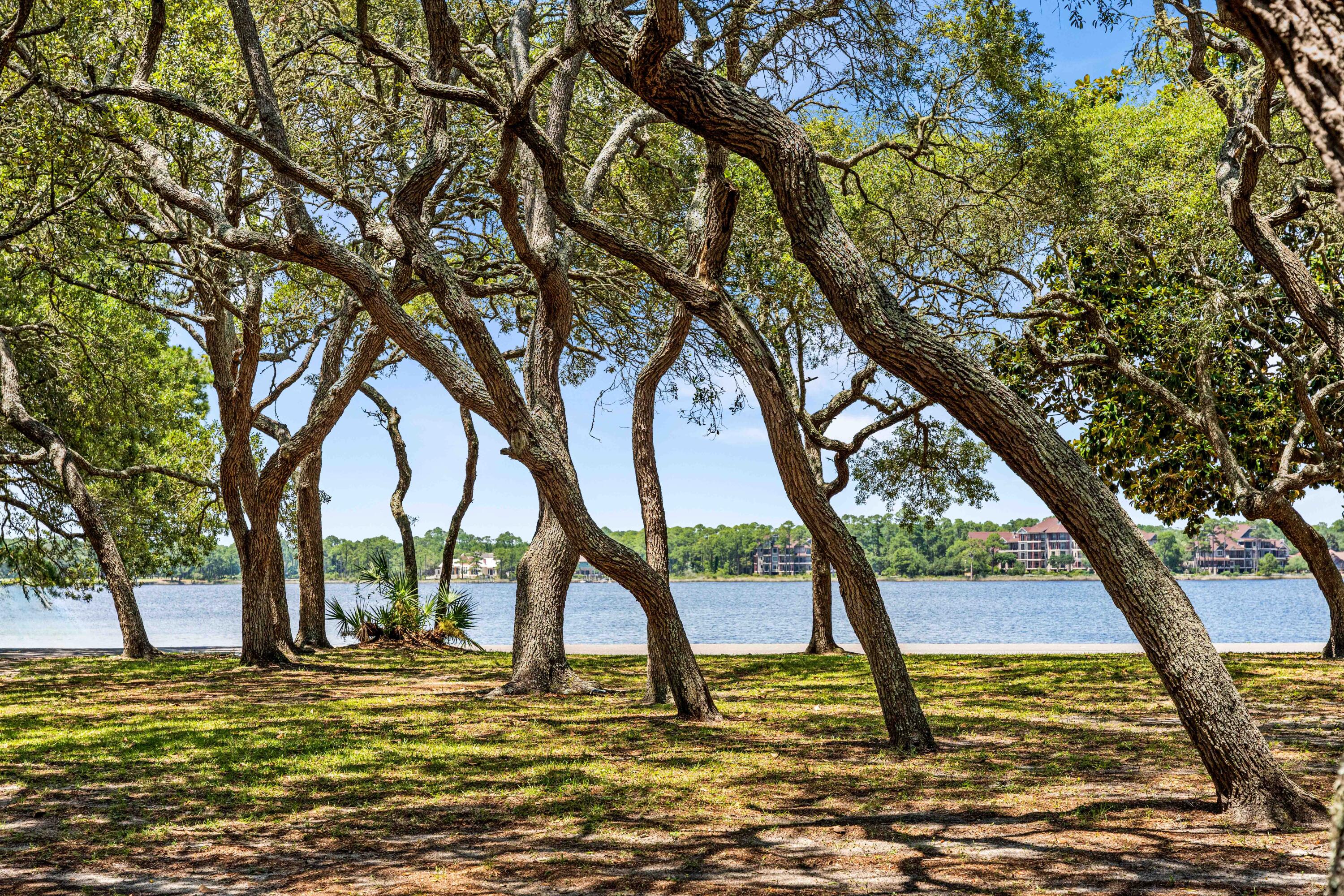 THE PRESERVE AT LAKE POWELL - Residential