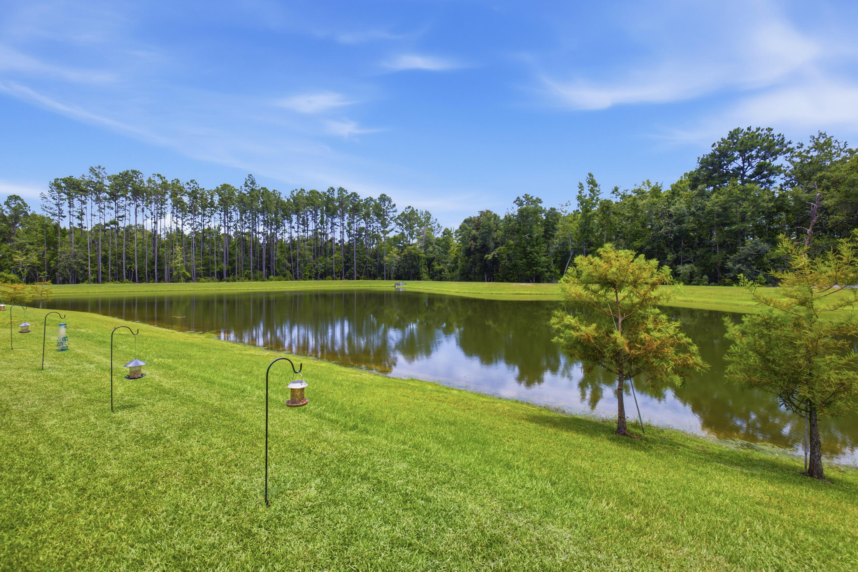 HAMMOCK BAY - STARBURST - Residential