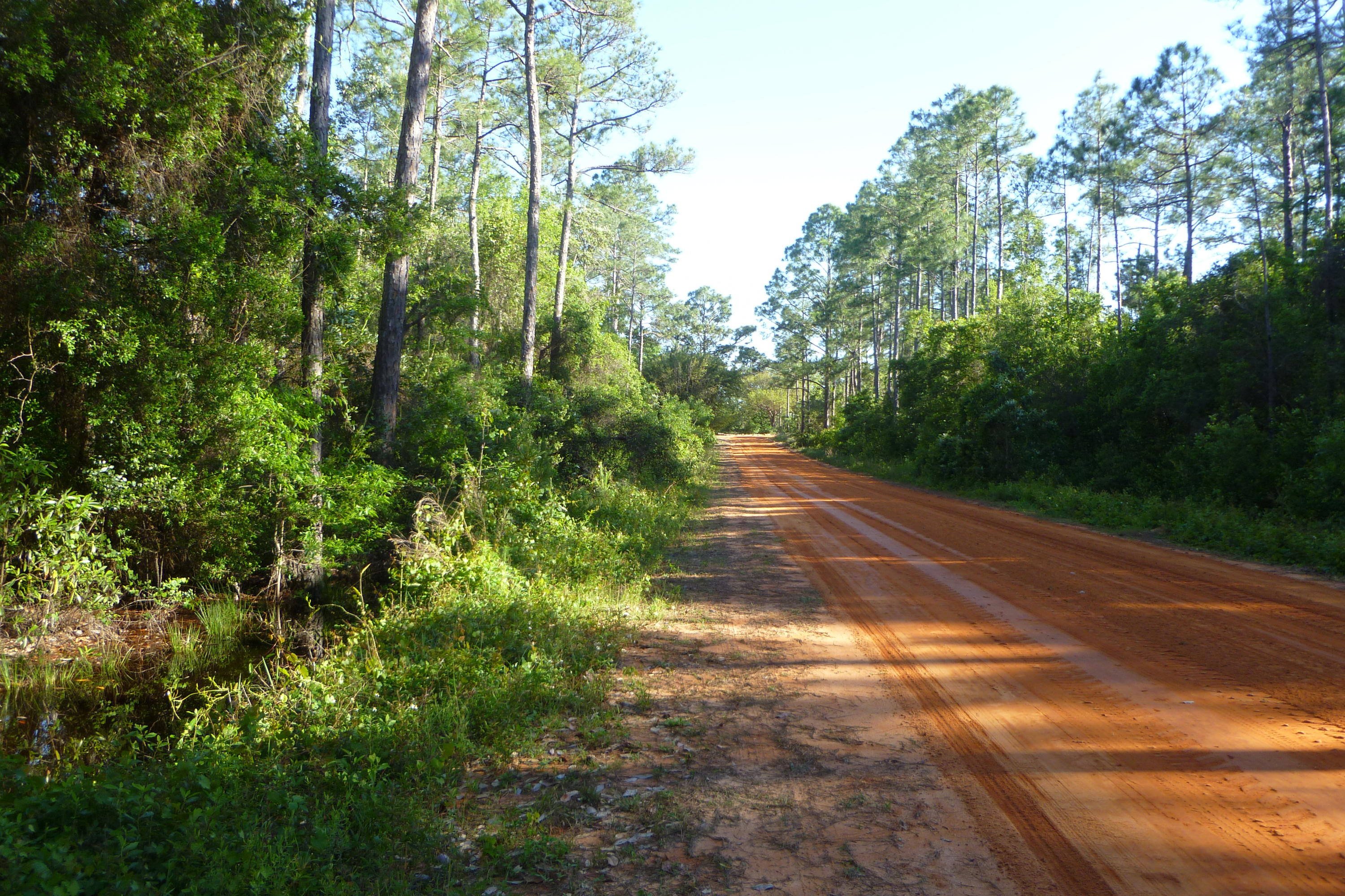 Com Ne Cor Sec Th S 89* W 300 Ft. Th 2*
W685.58 Ft. Th S 89*W 154.5 Ft. Th S 563.42 To N R/W South - Land