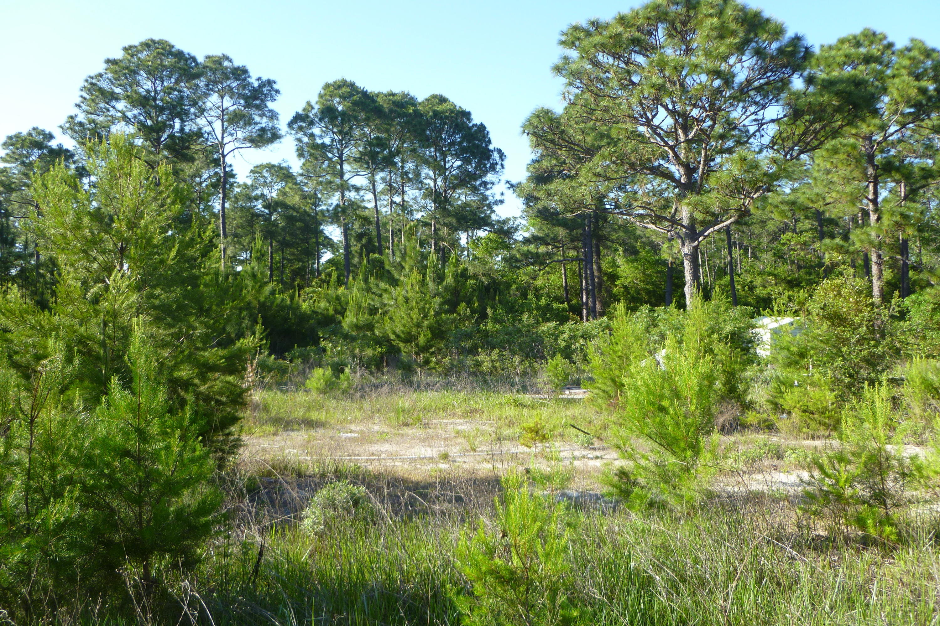 Com Ne Cor Sec Th S 89* W 300 Ft. Th 2*
W685.58 Ft. Th S 89*W 154.5 Ft. Th S 563.42 To N R/W South - Land